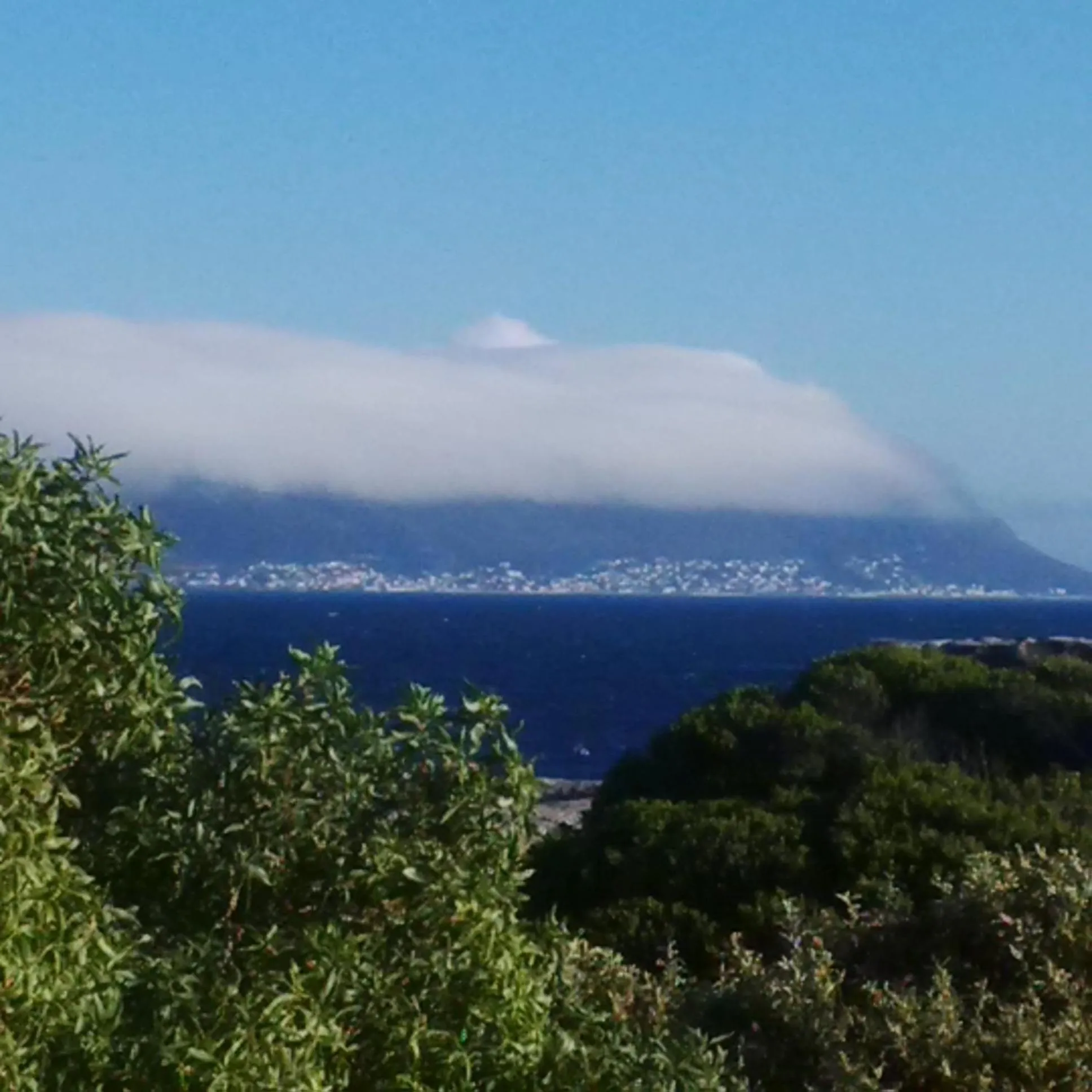 Garden view in Boulders Beach Hotel, Cafe and Curio shop
