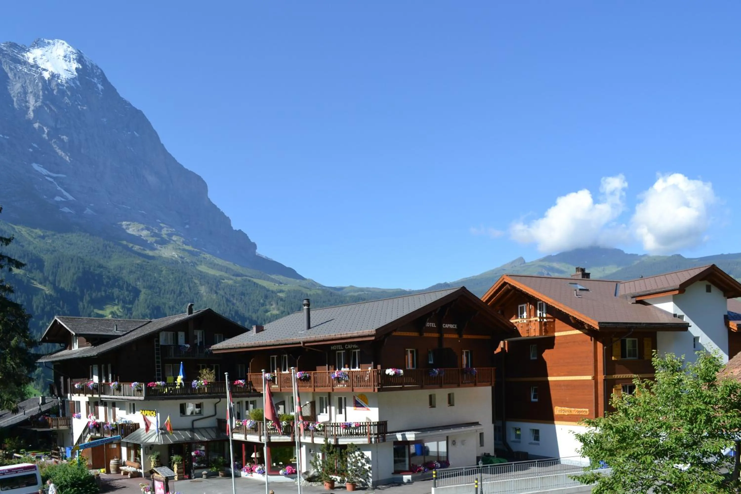Facade/entrance in Hotel Caprice - Grindelwald