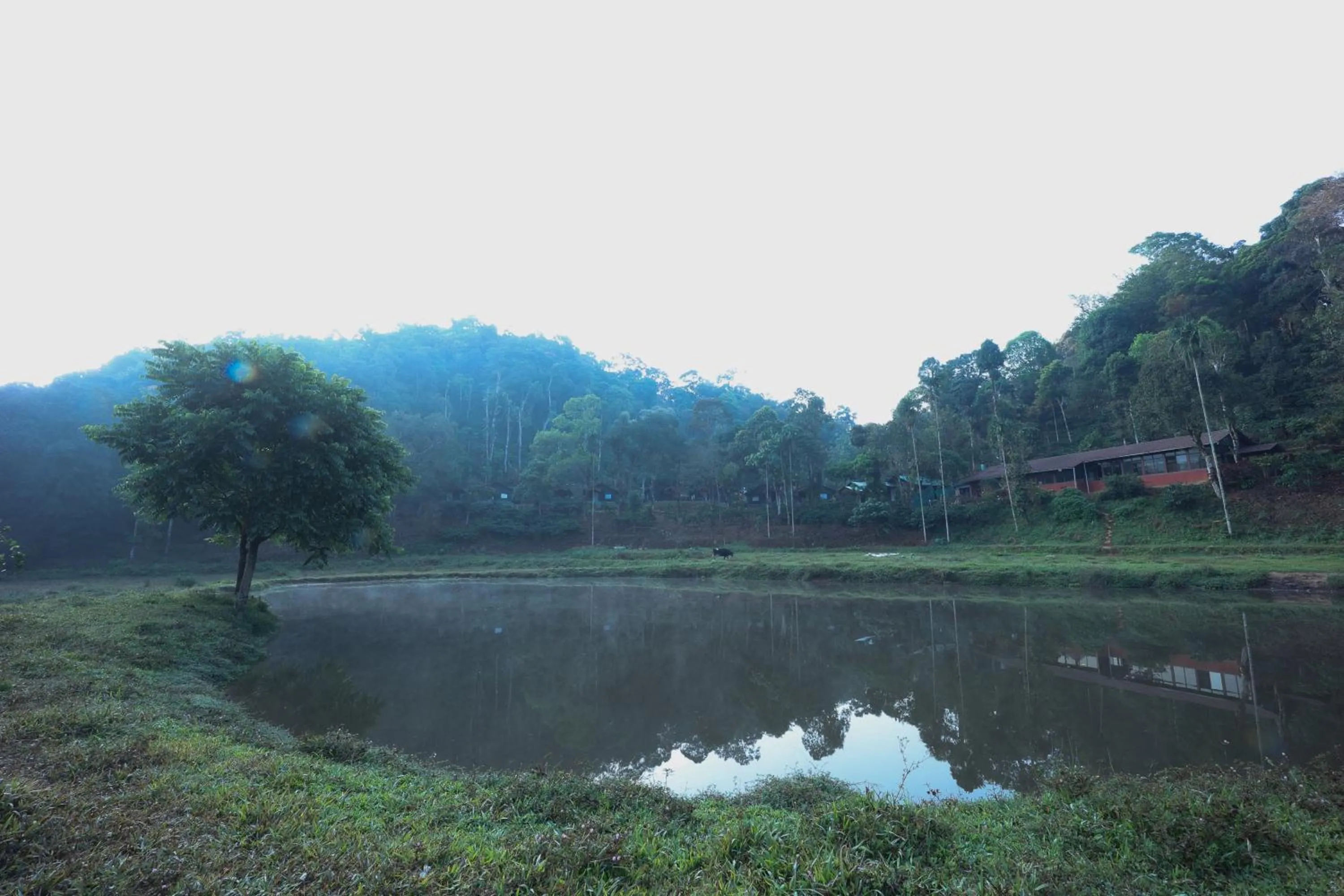 Natural landscape in Three Hills Resort Coorg