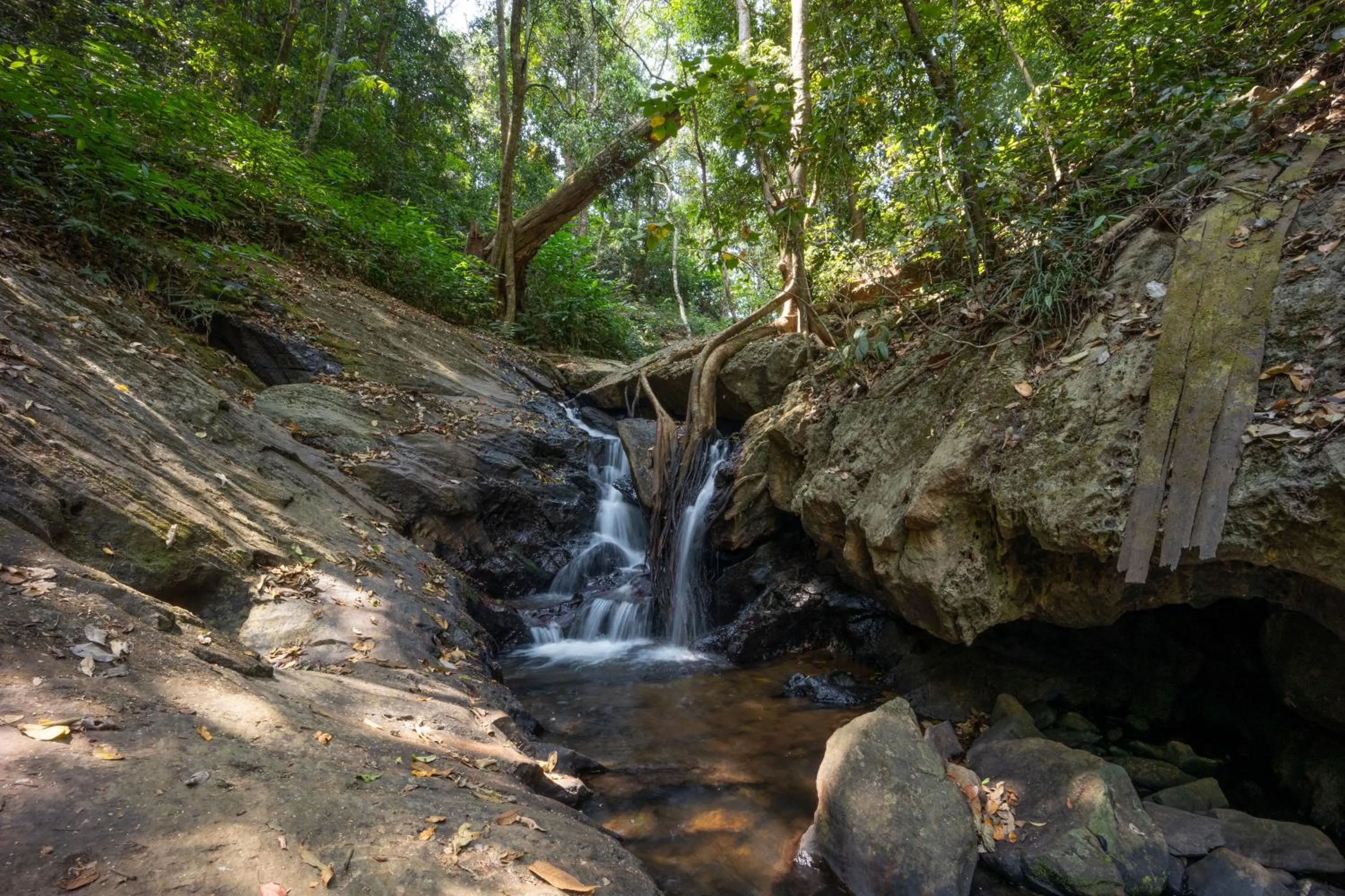 Natural landscape in Three Hills Resort Coorg