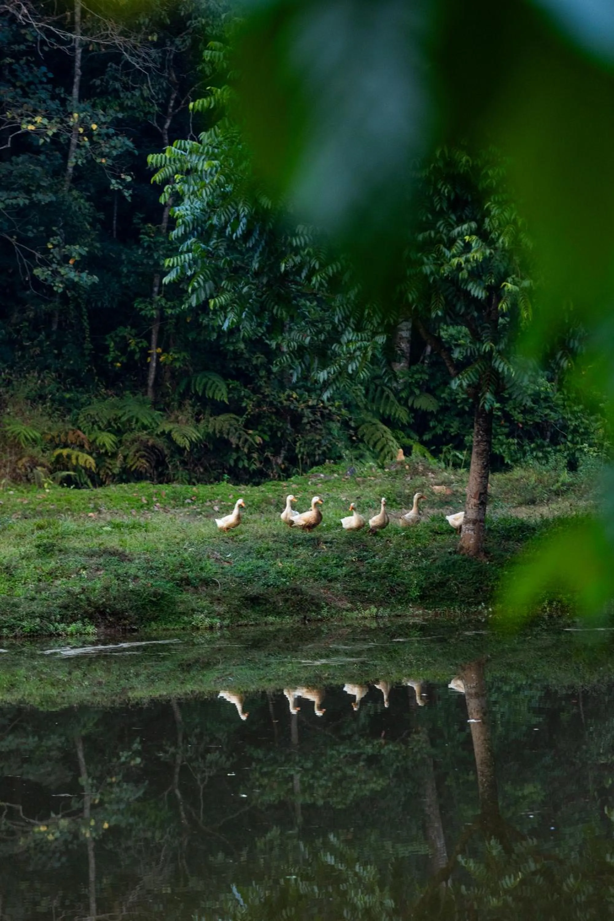 Natural landscape in Three Hills Resort Coorg