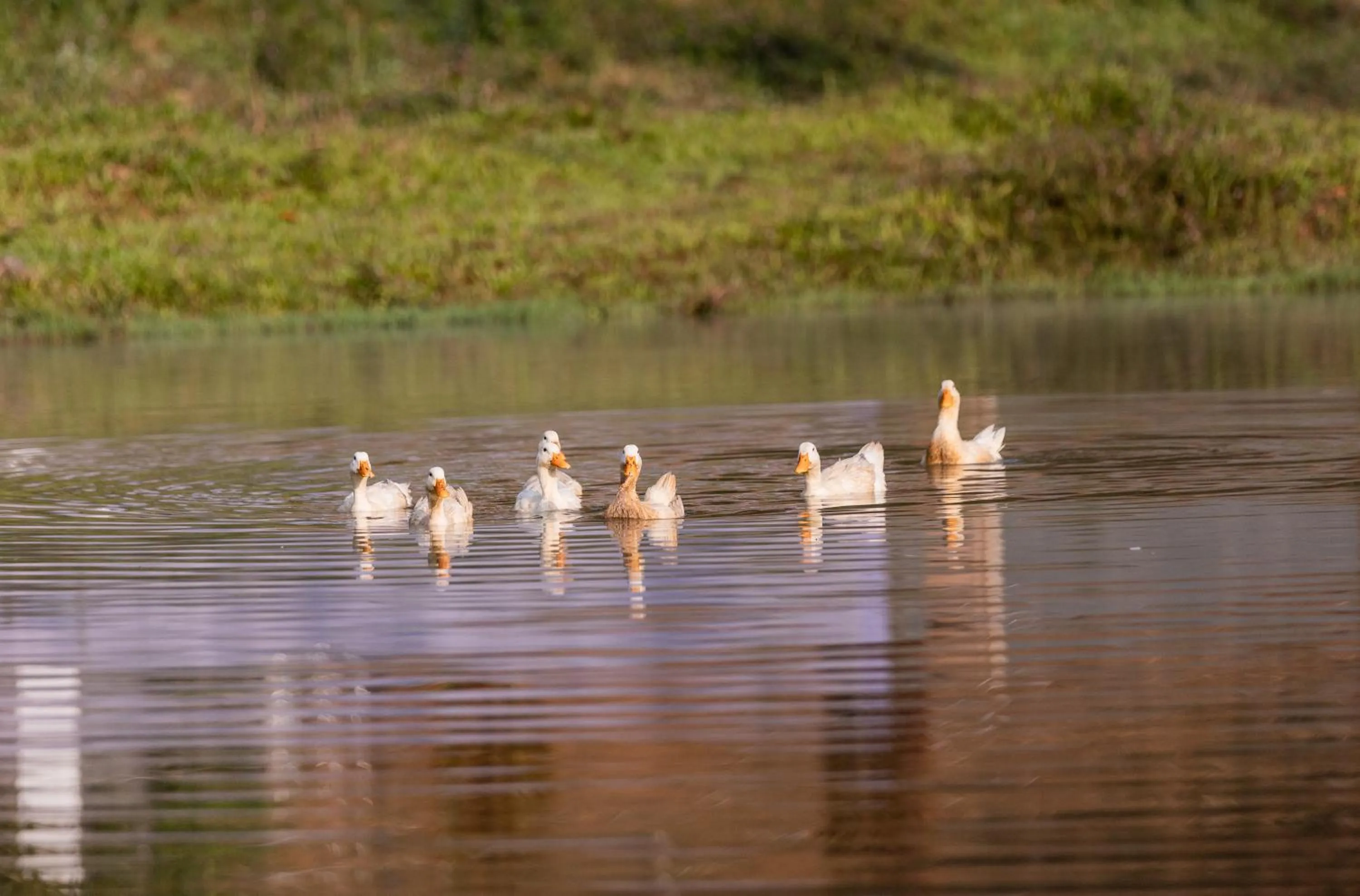 Natural landscape in Three Hills Resort Coorg