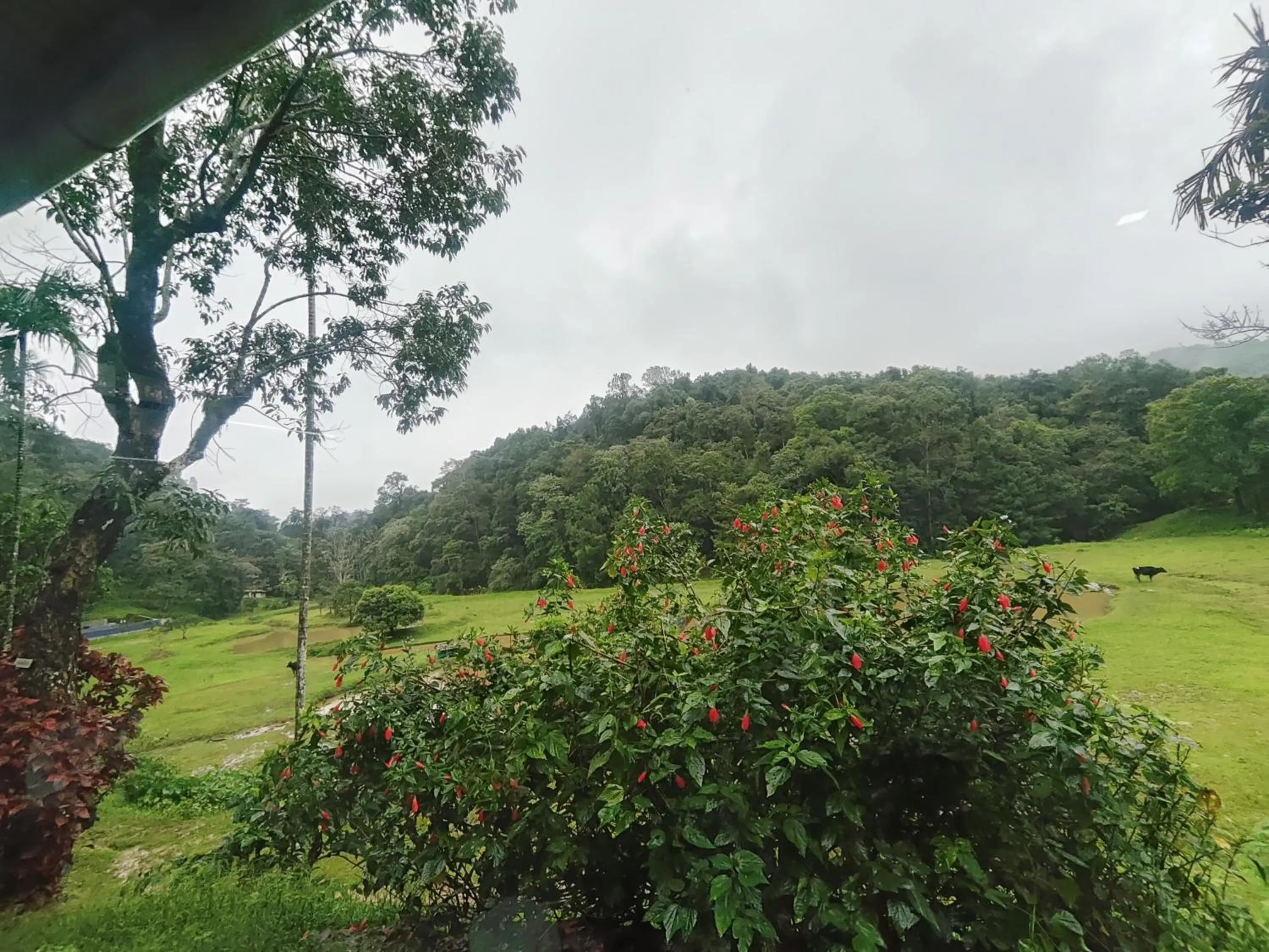 Lake view in Three Hills Resort Coorg