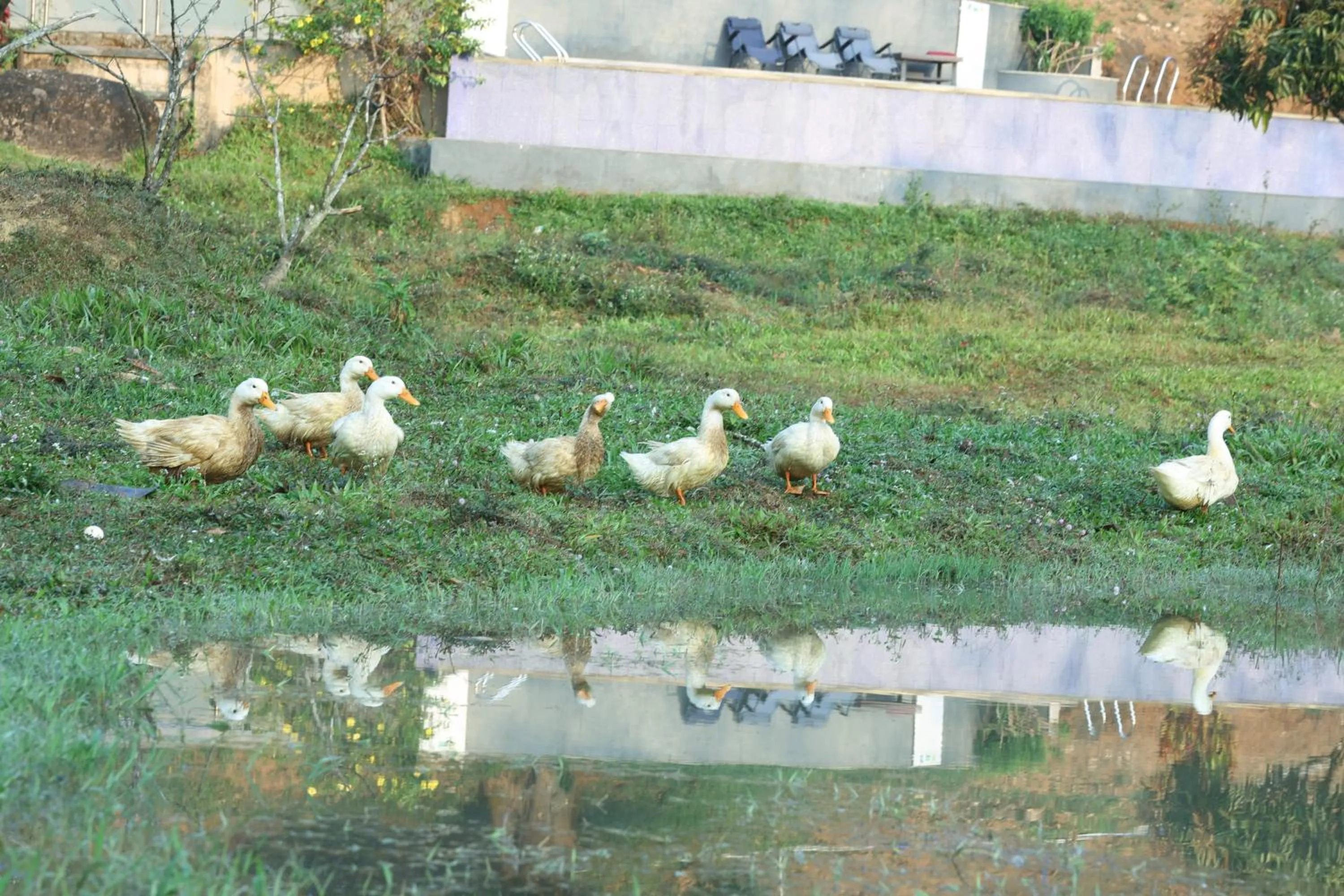 Natural landscape in Three Hills Resort Coorg