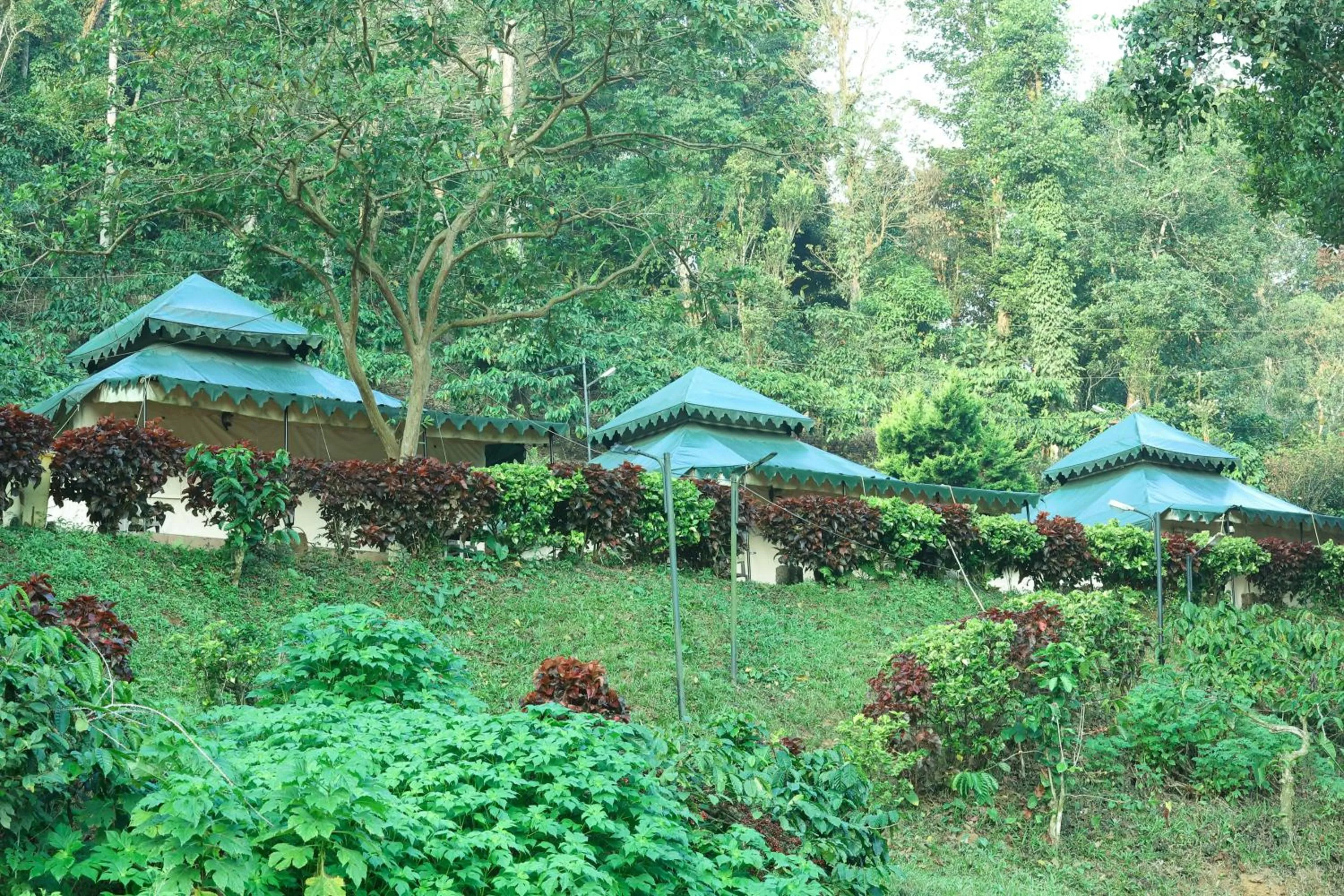 Natural landscape in Three Hills Resort Coorg