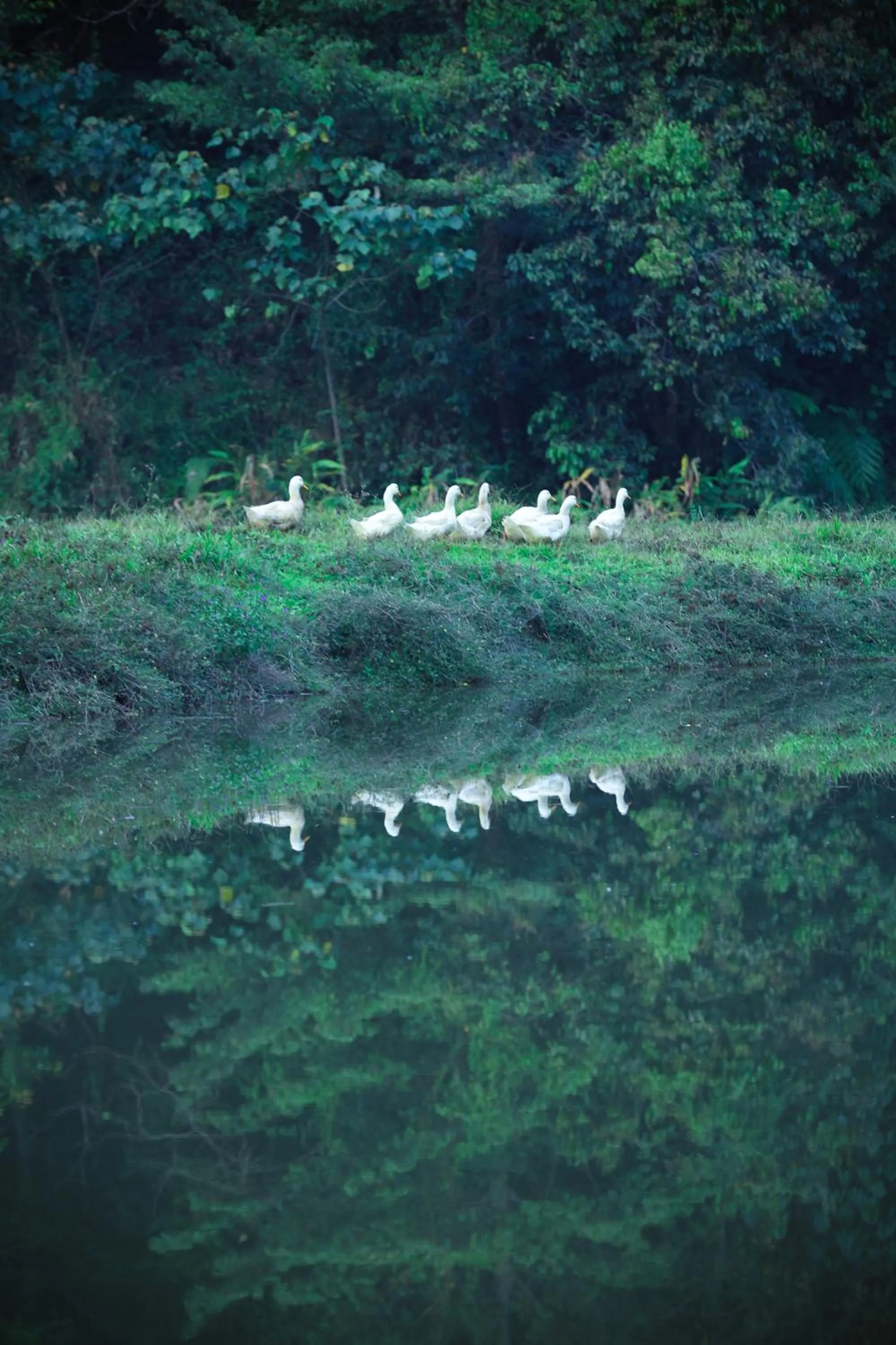 Natural landscape in Three Hills Resort Coorg
