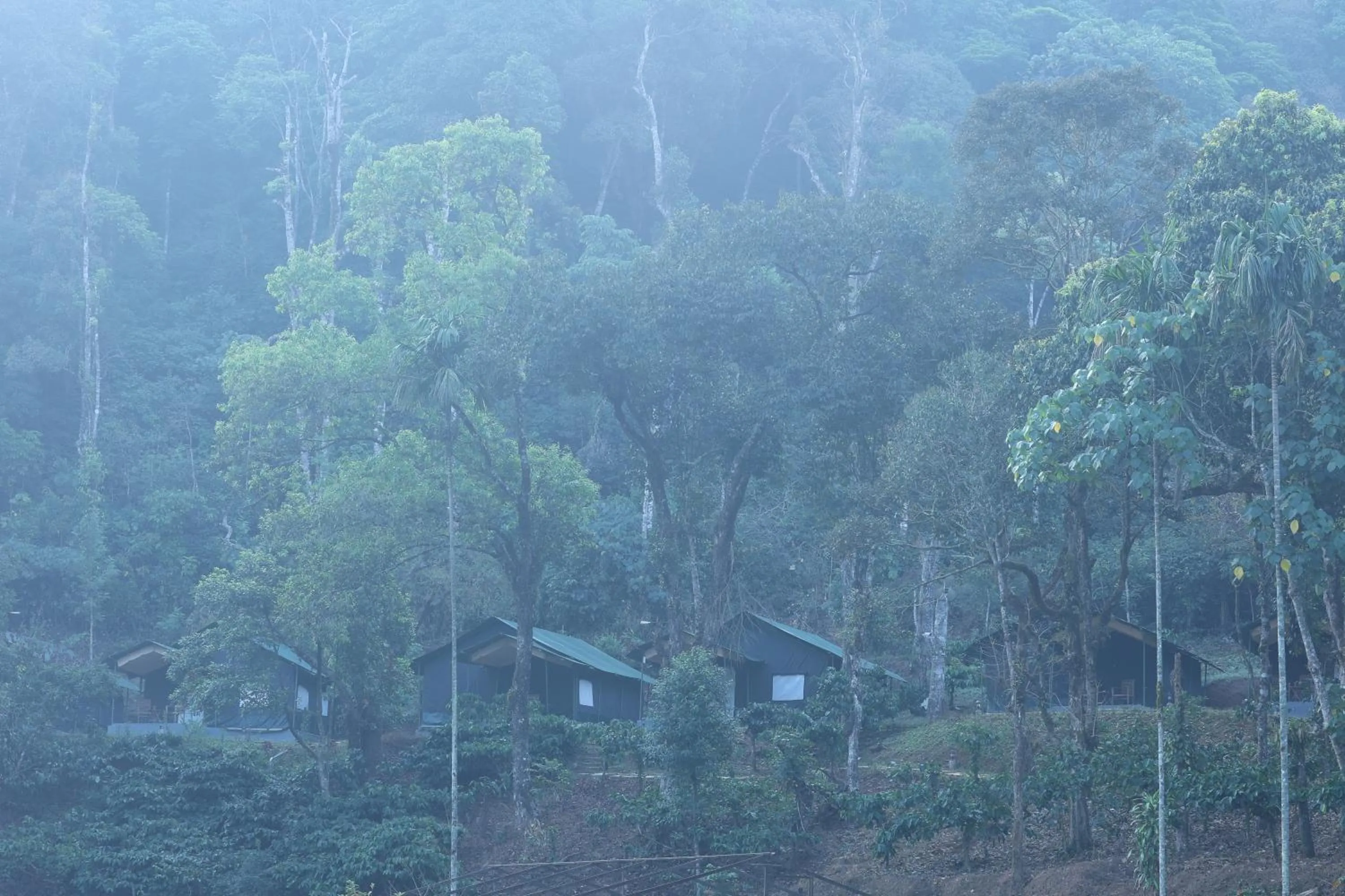 View (from property/room) in Three Hills Resort Coorg