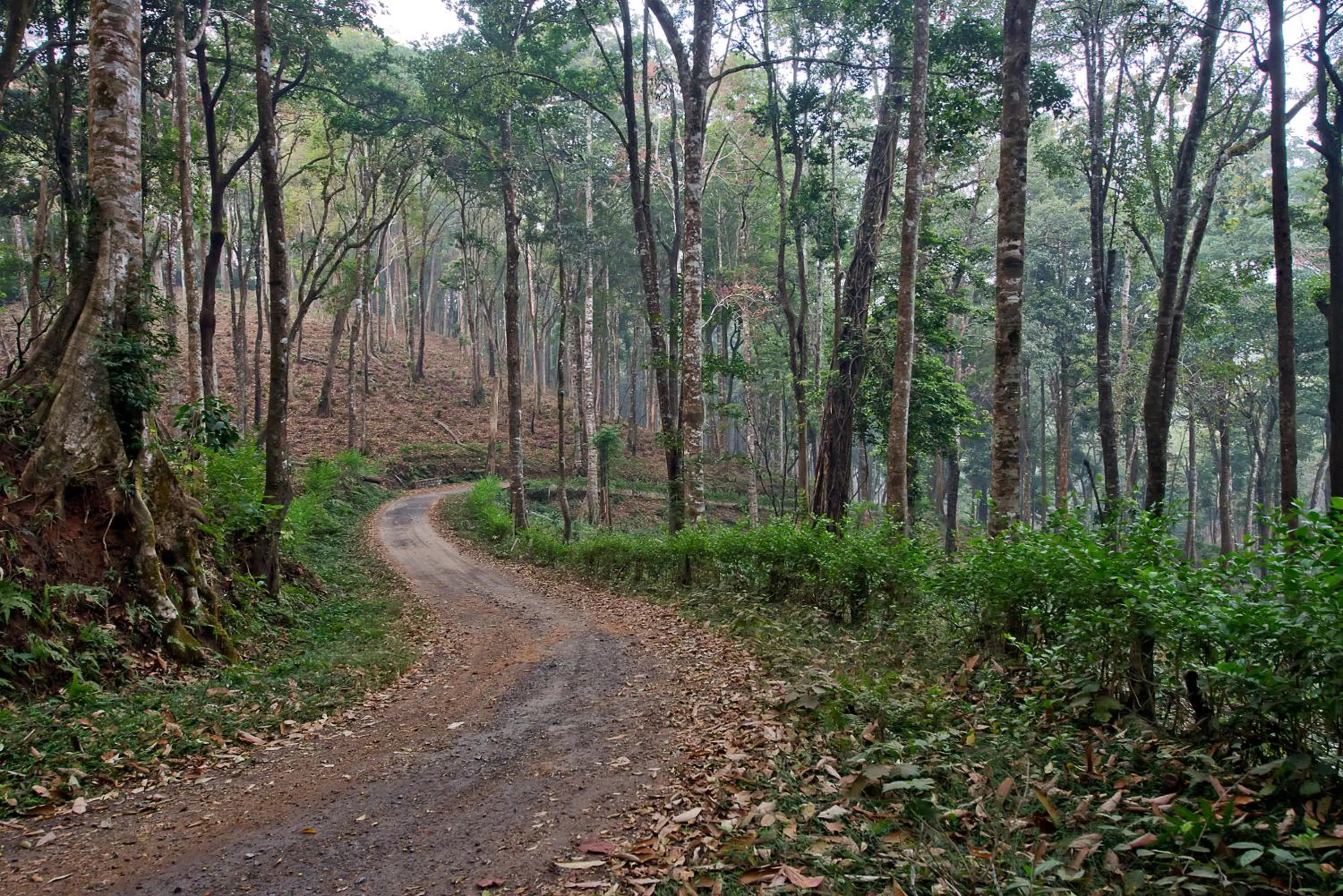 Facade/entrance in Three Hills Resort Coorg