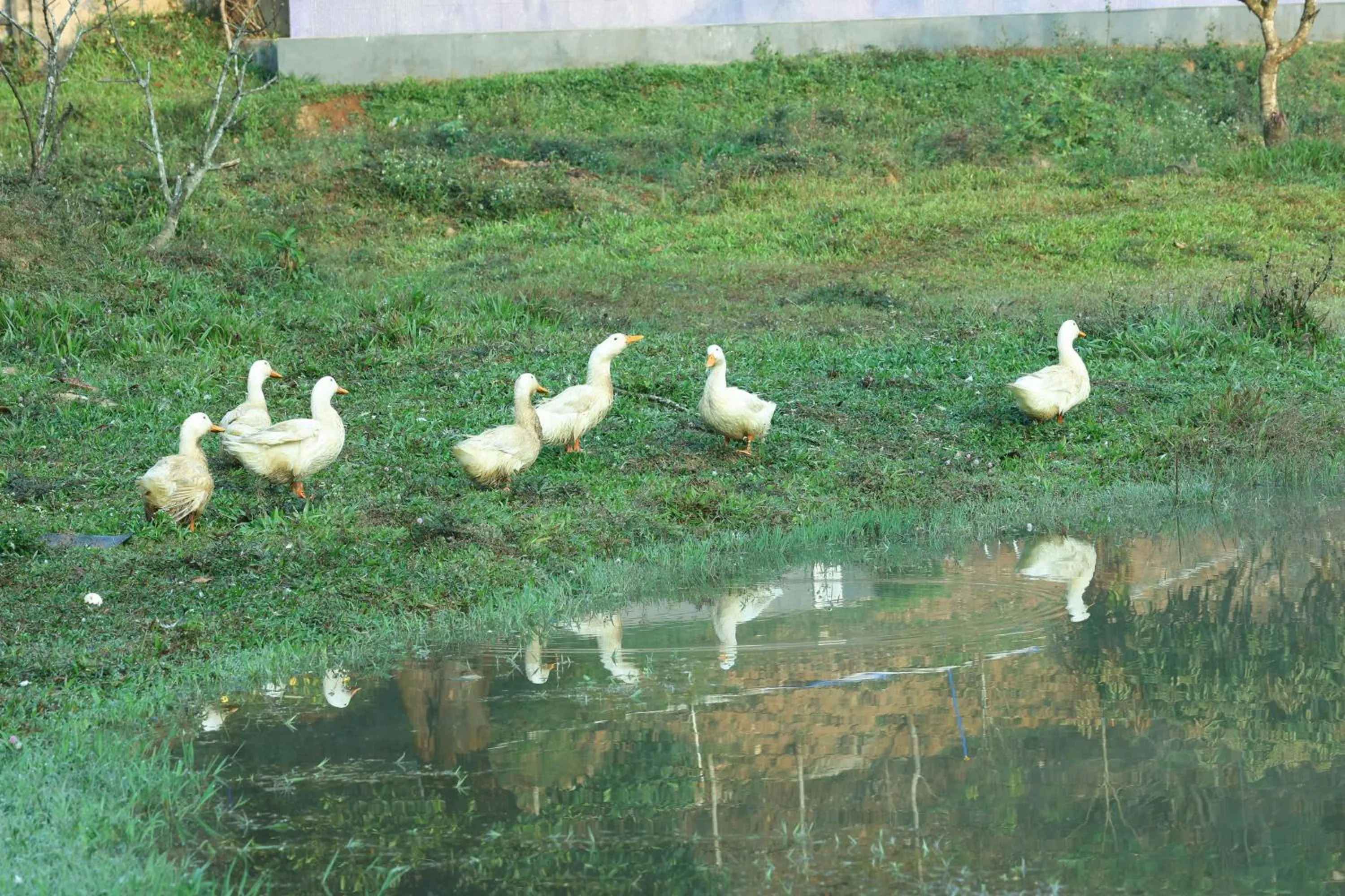 Natural landscape in Three Hills Resort Coorg