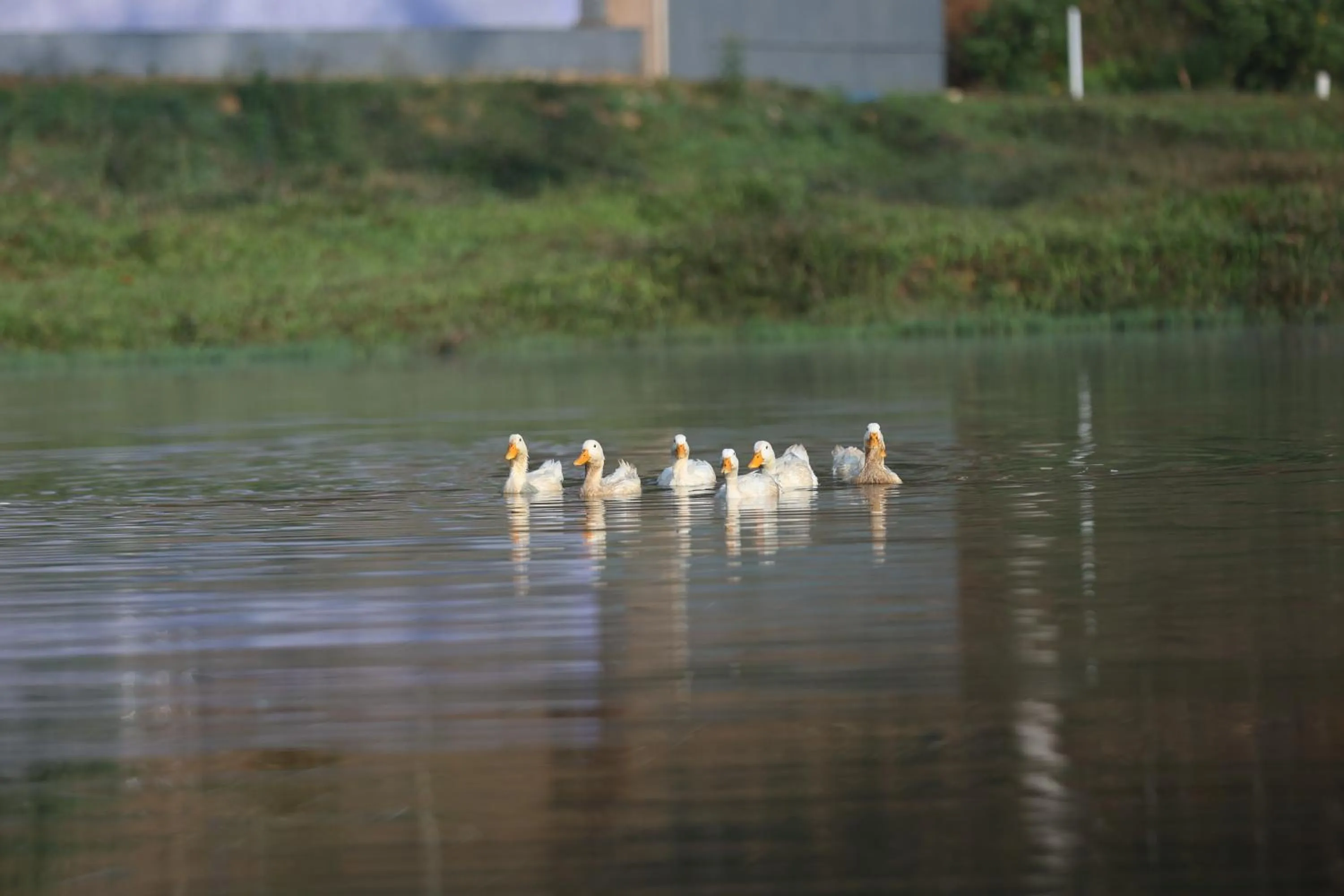 Natural landscape in Three Hills Resort Coorg