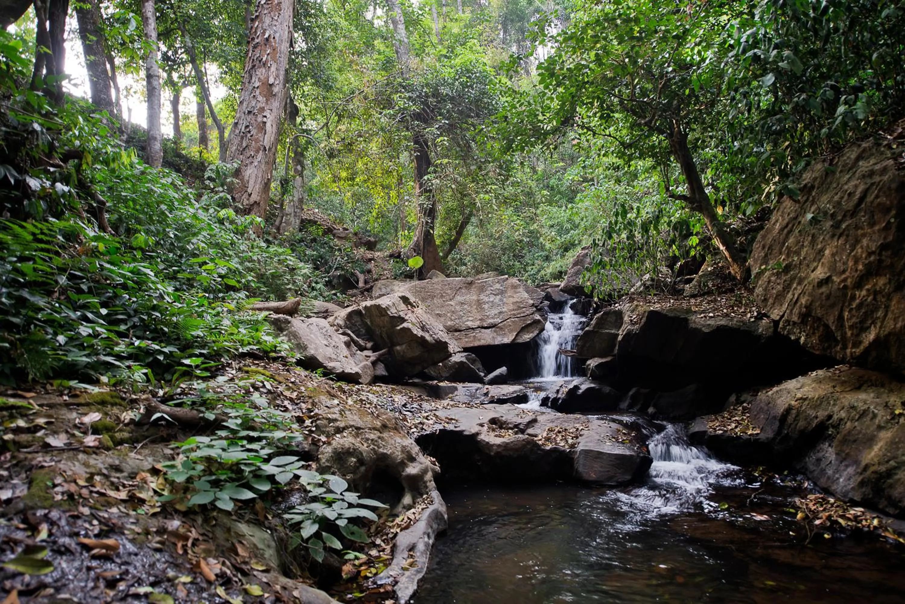 Natural landscape in Three Hills Resort Coorg