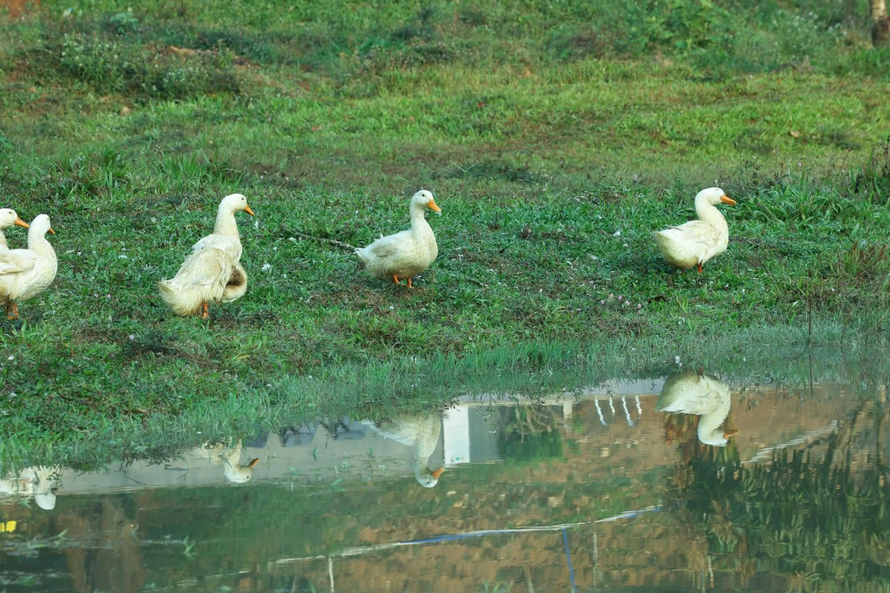 Natural landscape in Three Hills Resort Coorg