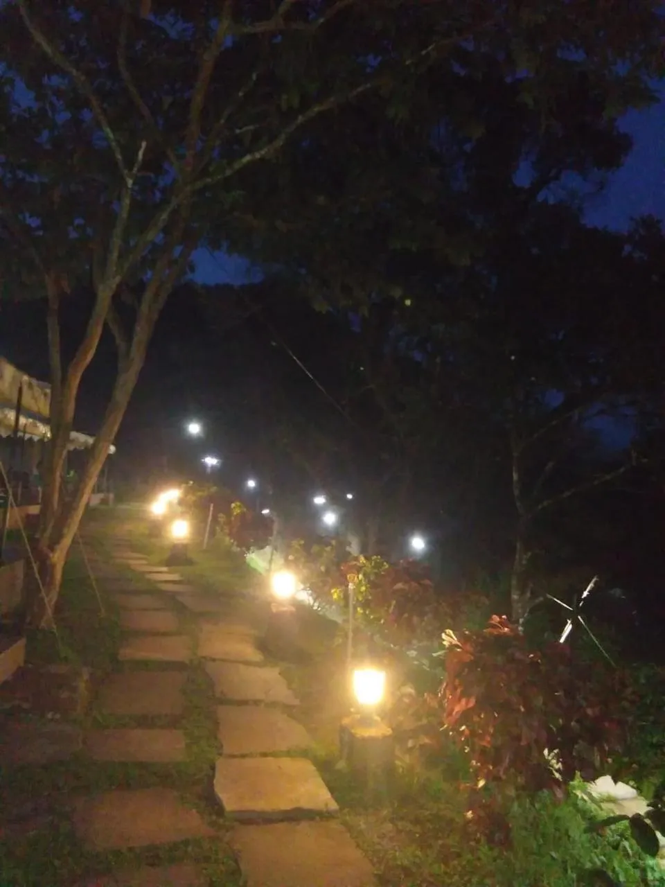 Street view in Three Hills Resort Coorg