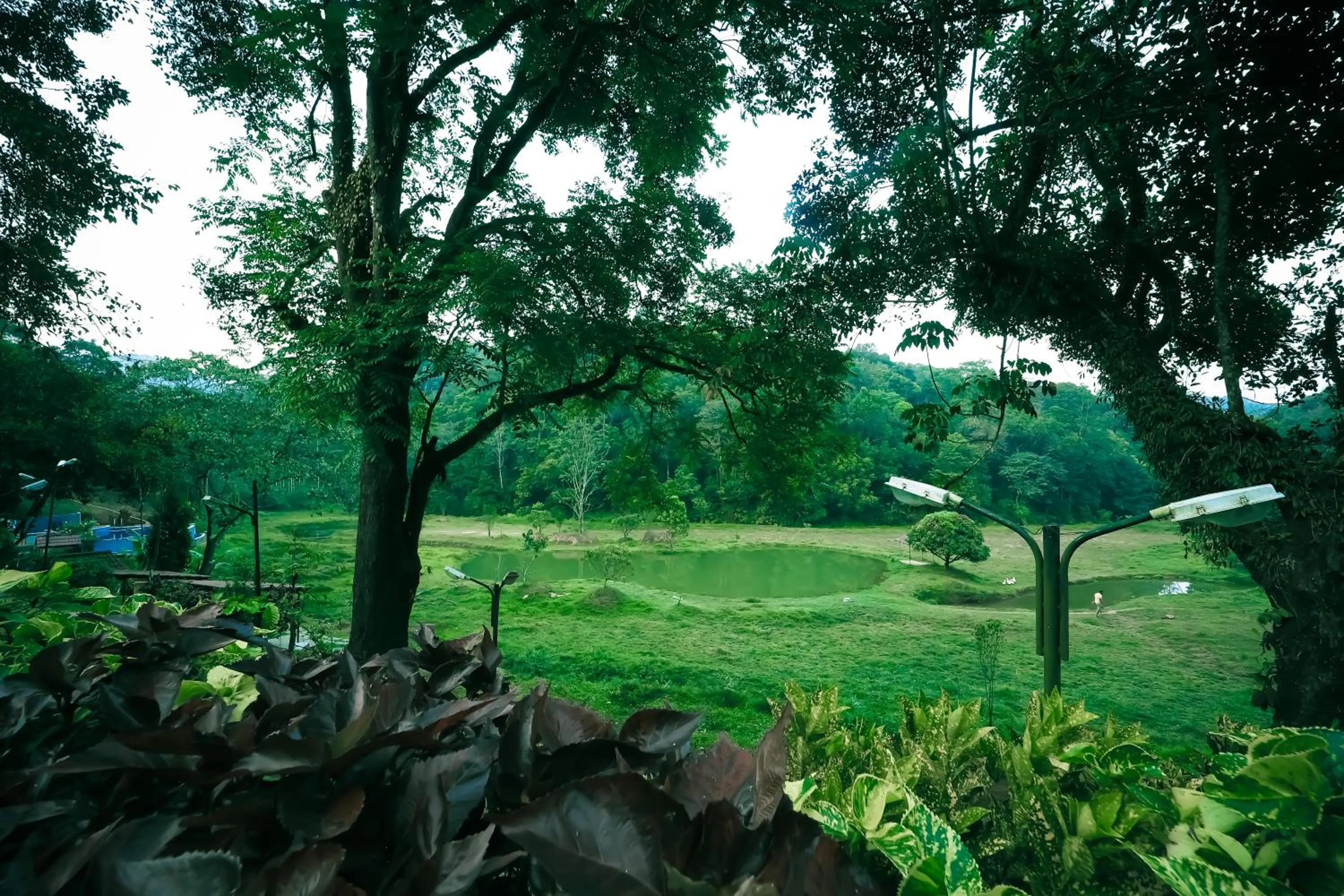 Natural landscape in Three Hills Resort Coorg