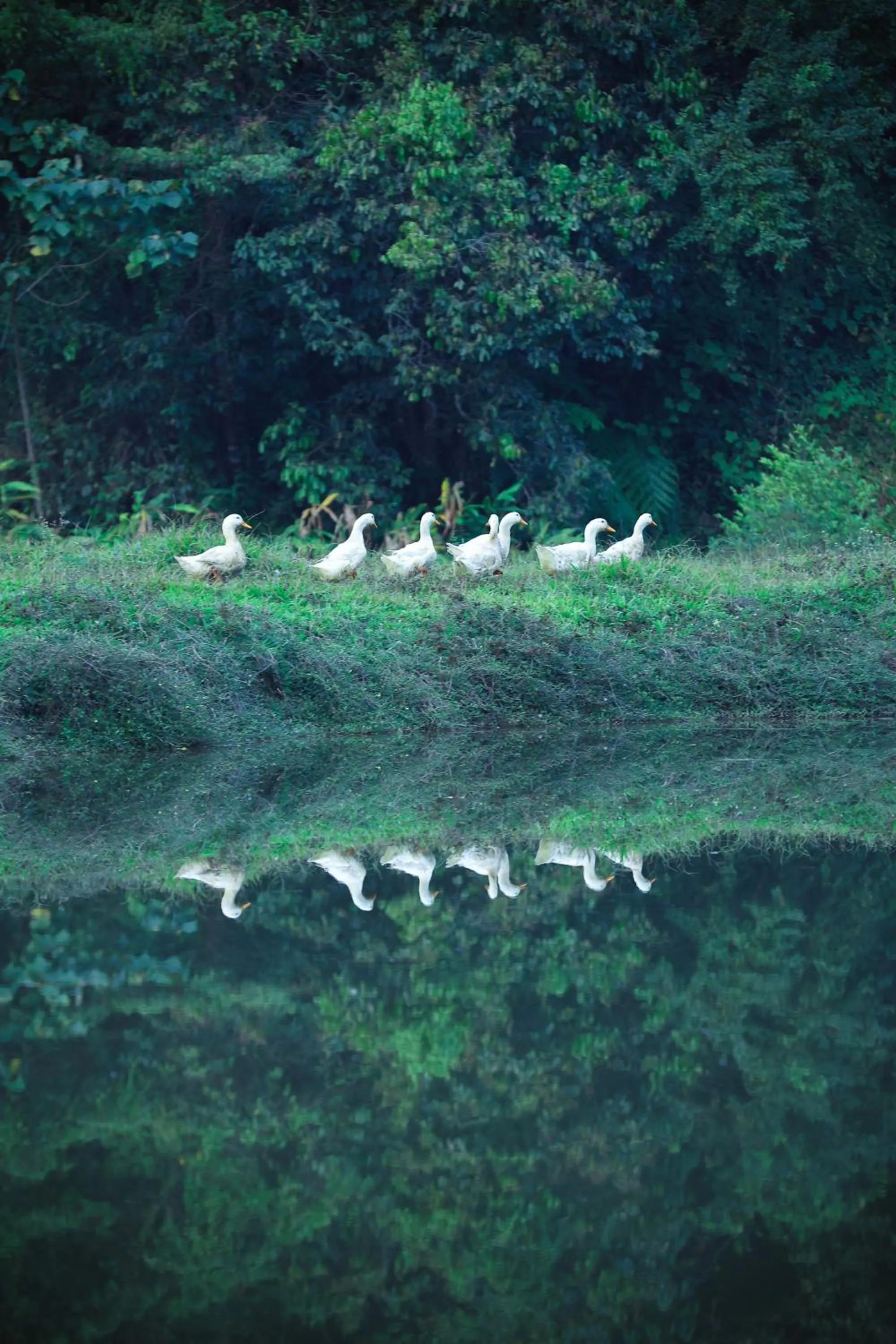 Natural landscape in Three Hills Resort Coorg