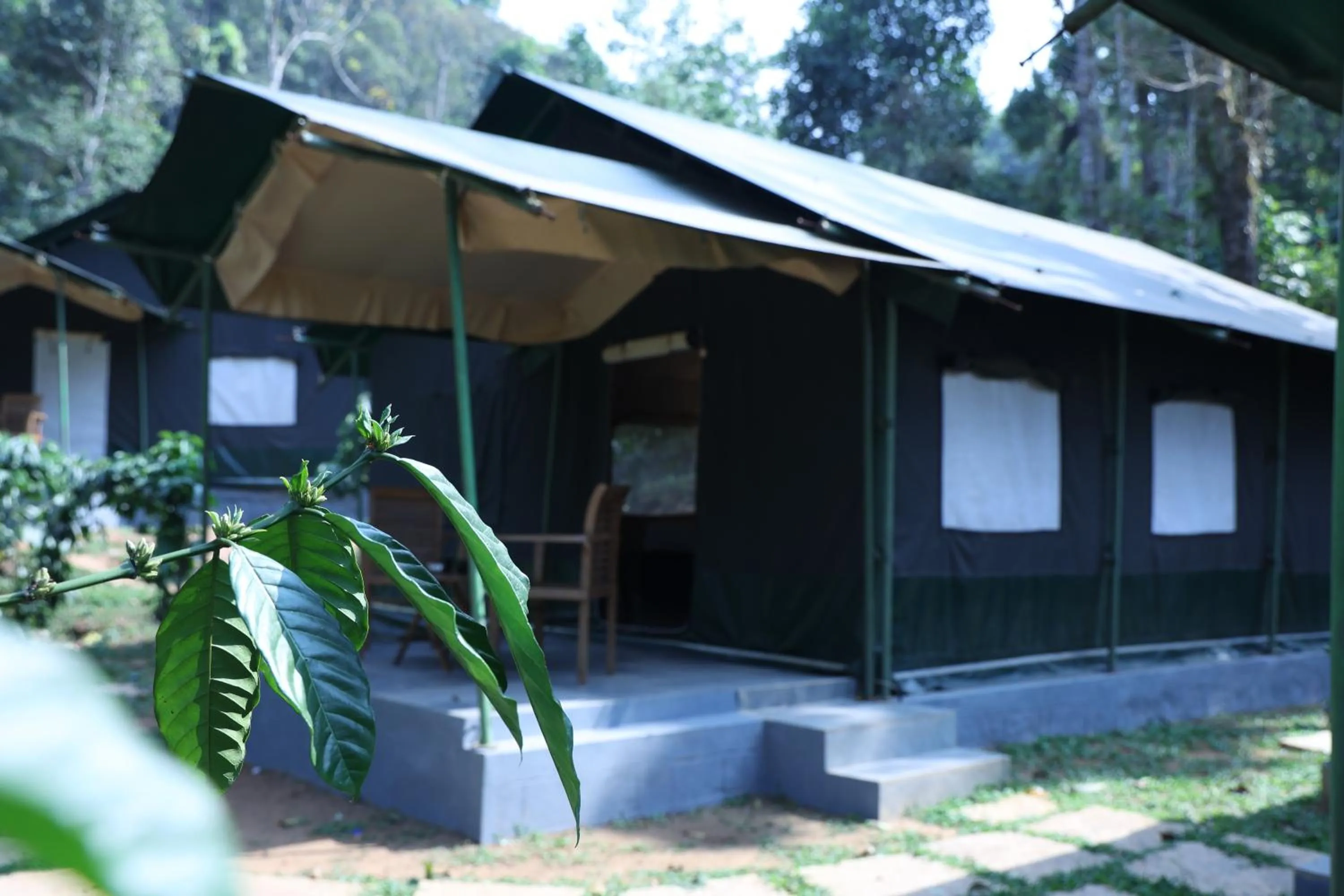Property building in Three Hills Resort Coorg