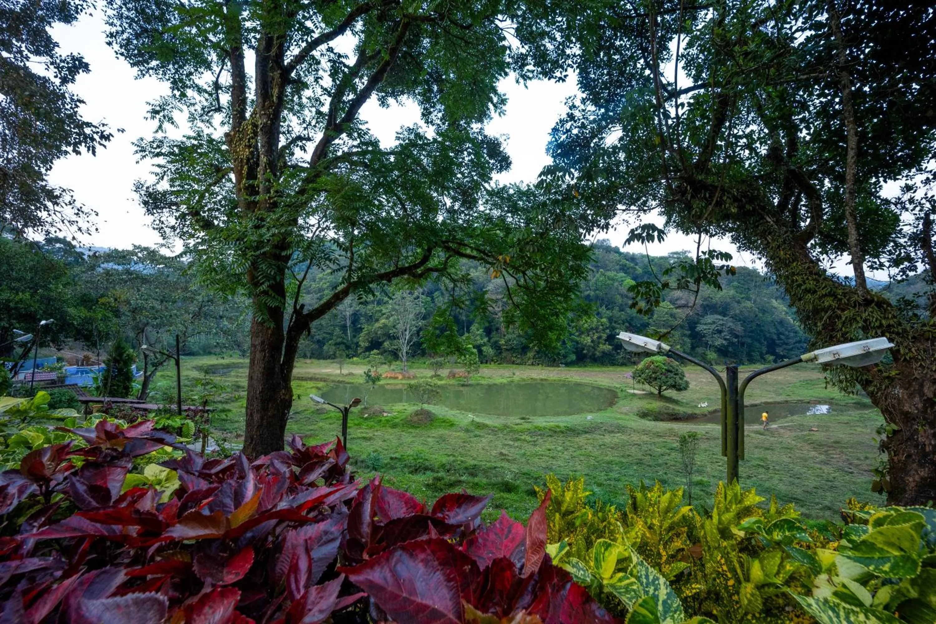Natural landscape in Three Hills Resort Coorg