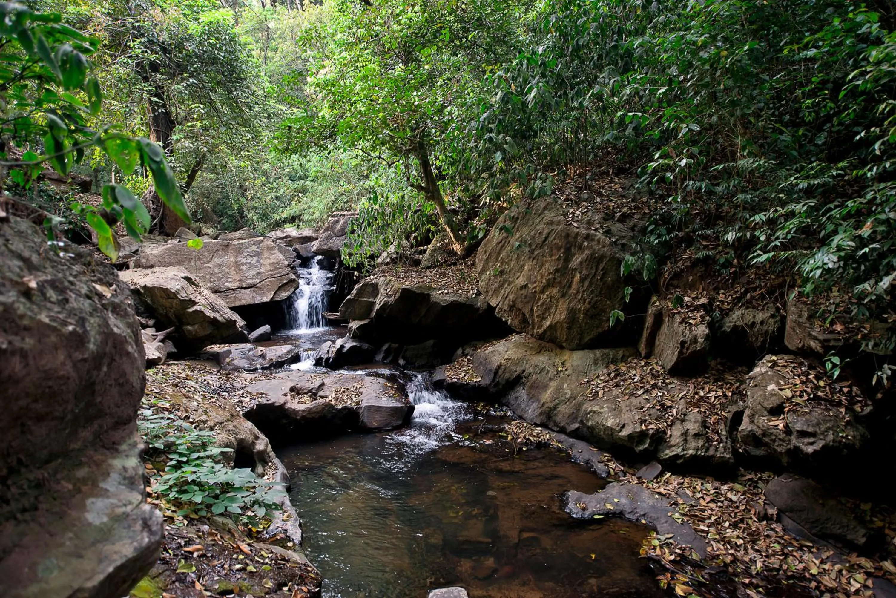Natural landscape in Three Hills Resort Coorg