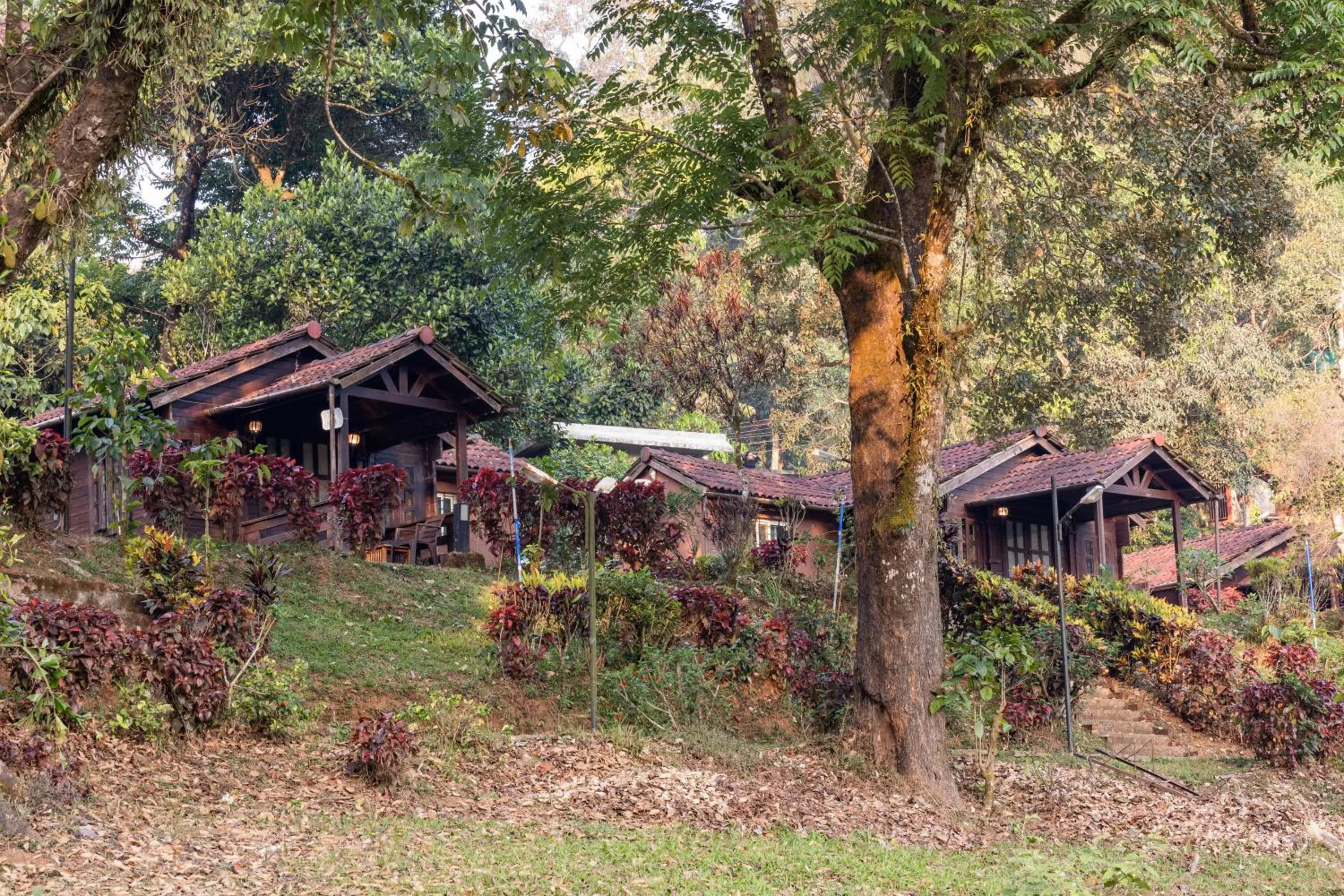 Mountain view in Three Hills Resort Coorg