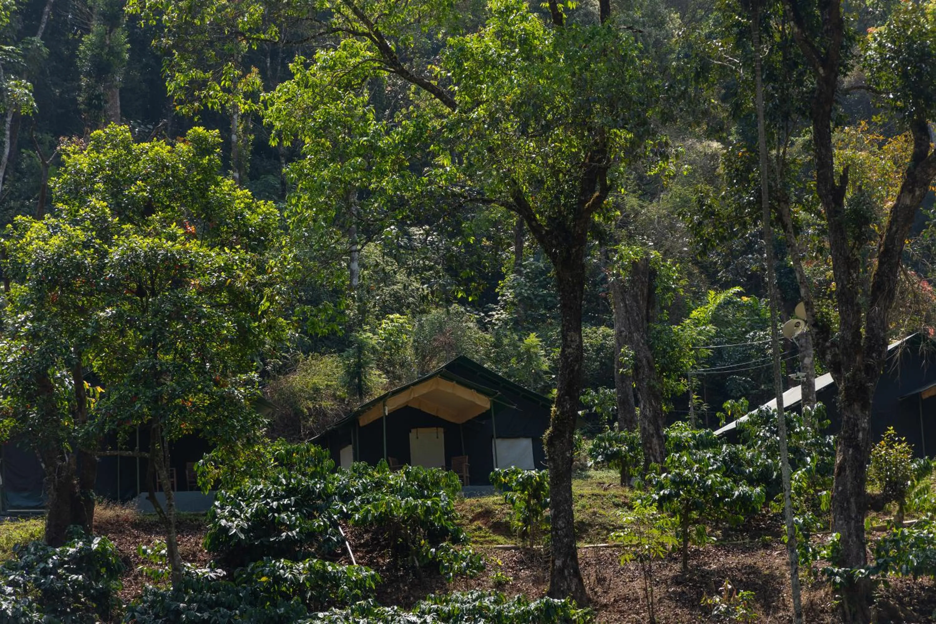 Day in Three Hills Resort Coorg