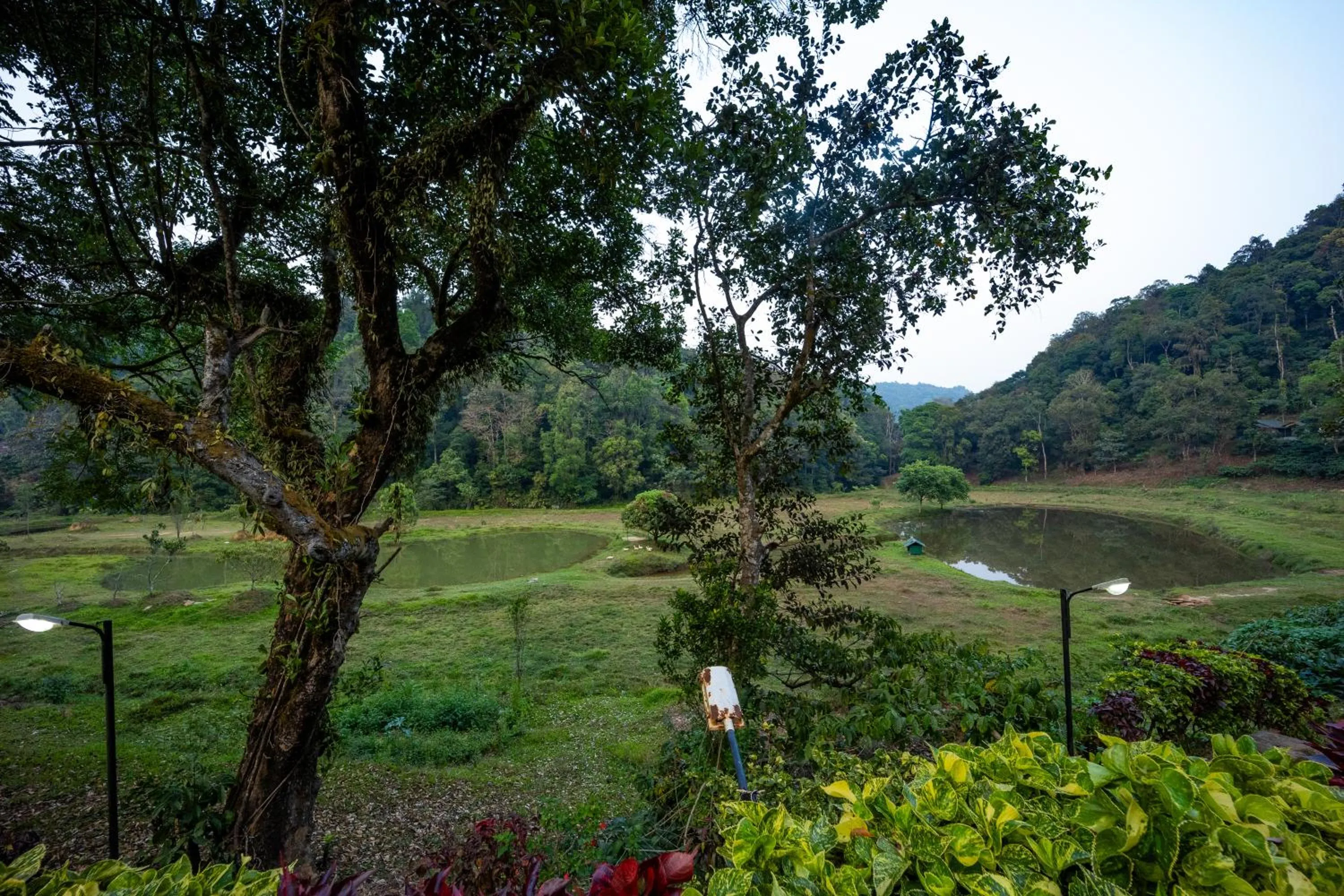 Natural landscape in Three Hills Resort Coorg