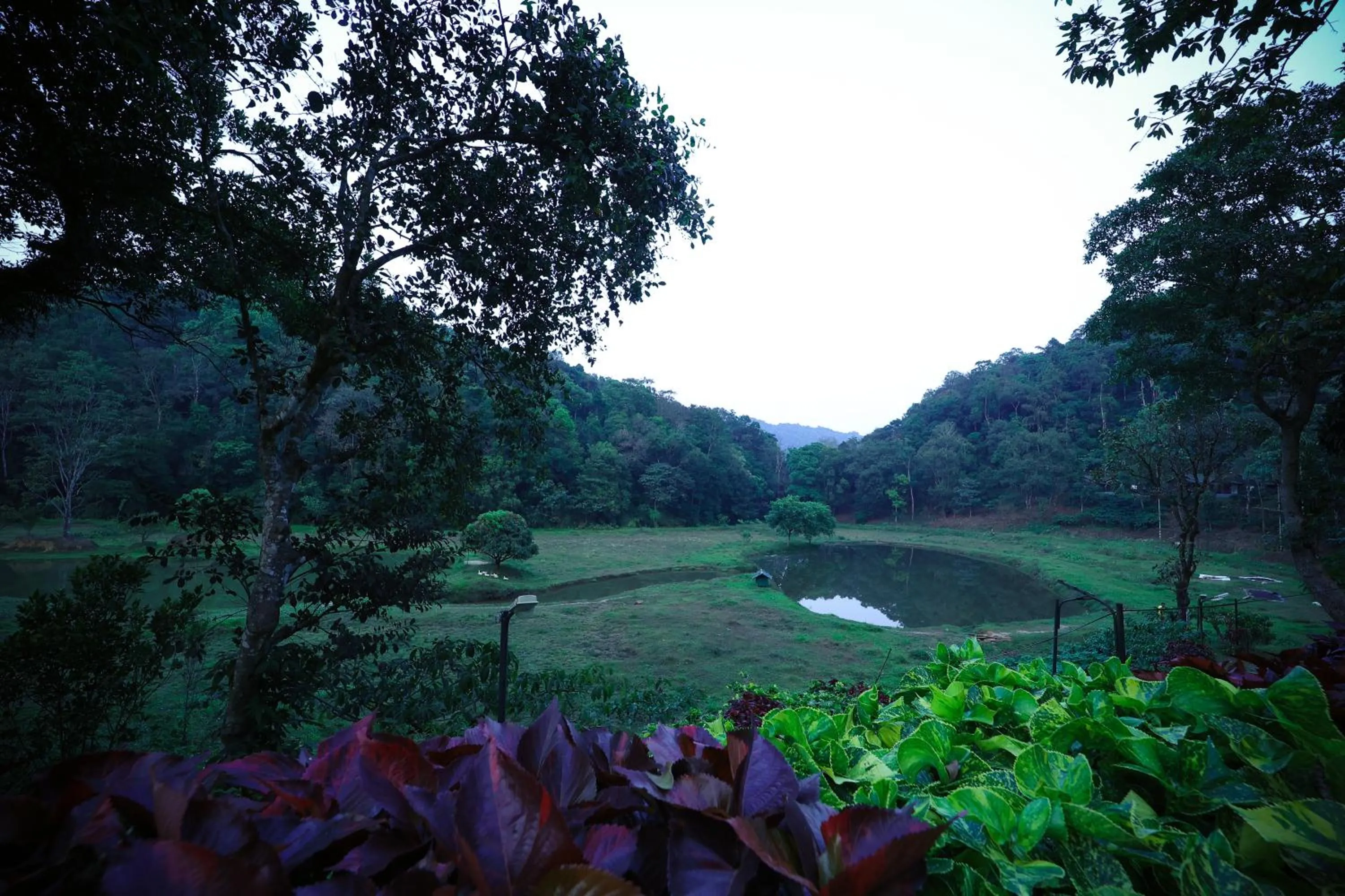 Natural landscape in Three Hills Resort Coorg