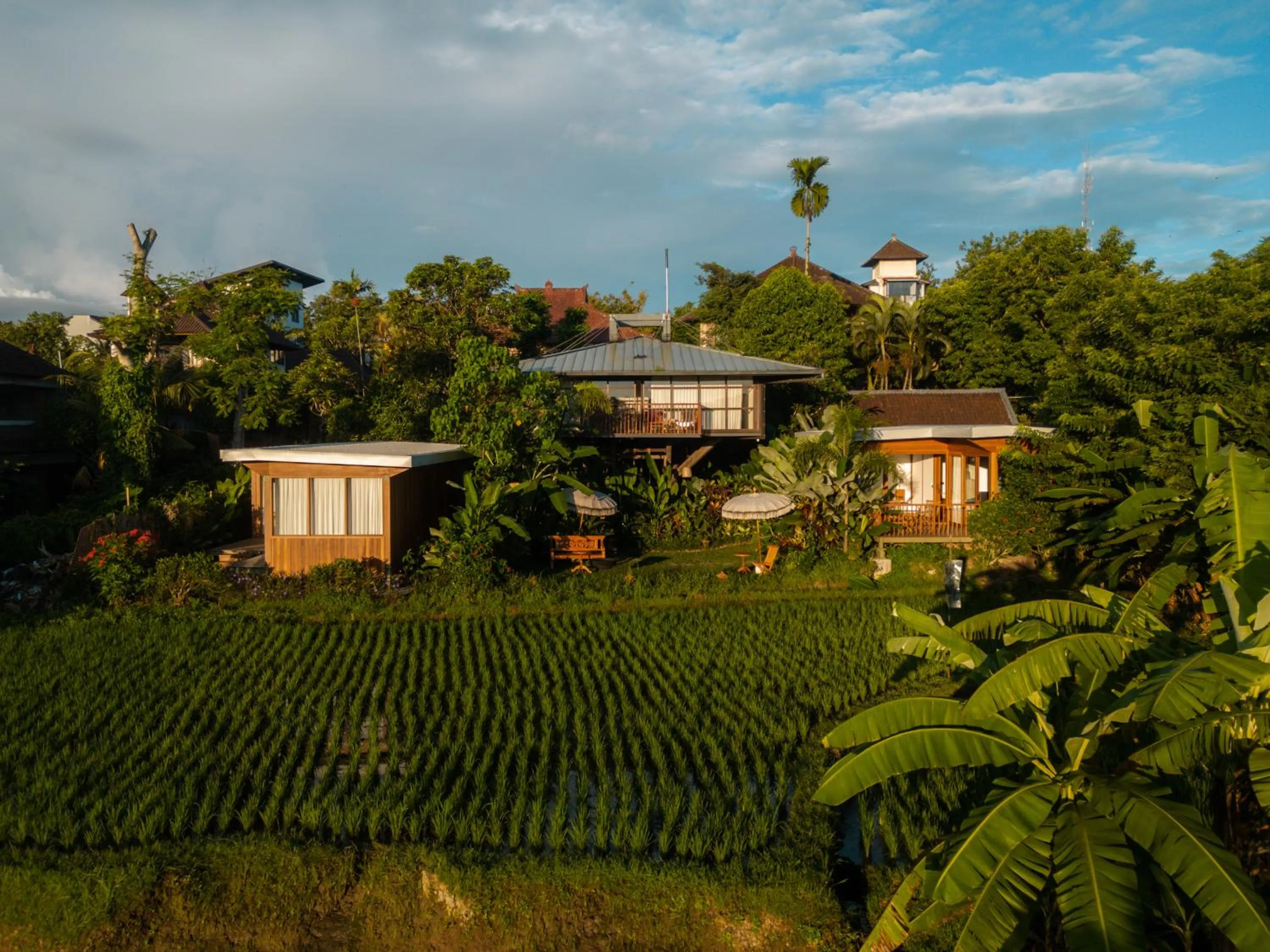 Bird's eye view in Grün Ubud
