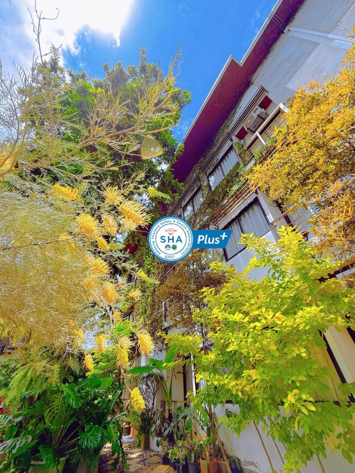 Property building in Ideo Phuket Hotel - Naiyang Beach