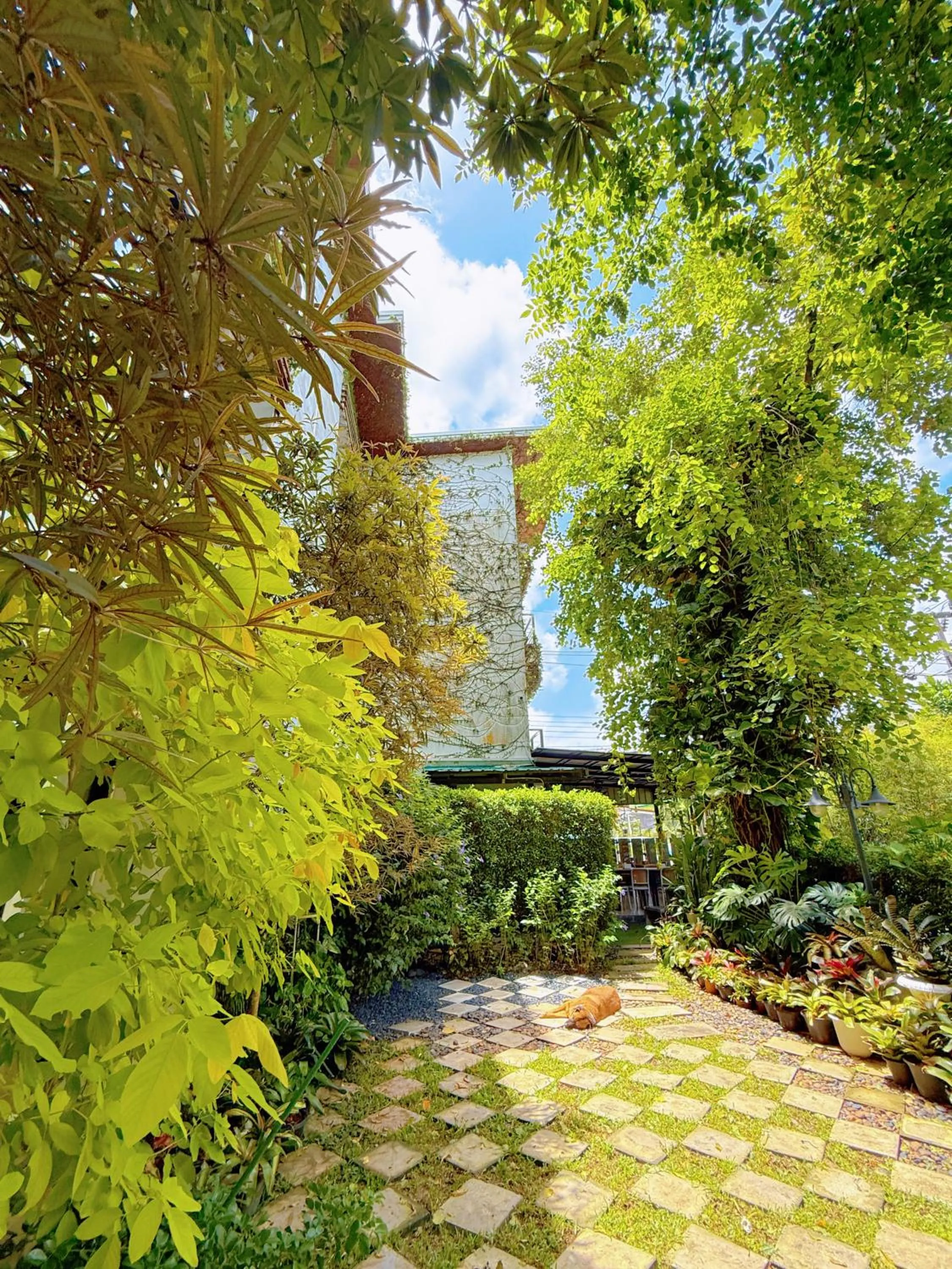 Property building in Ideo Phuket Hotel - Naiyang Beach