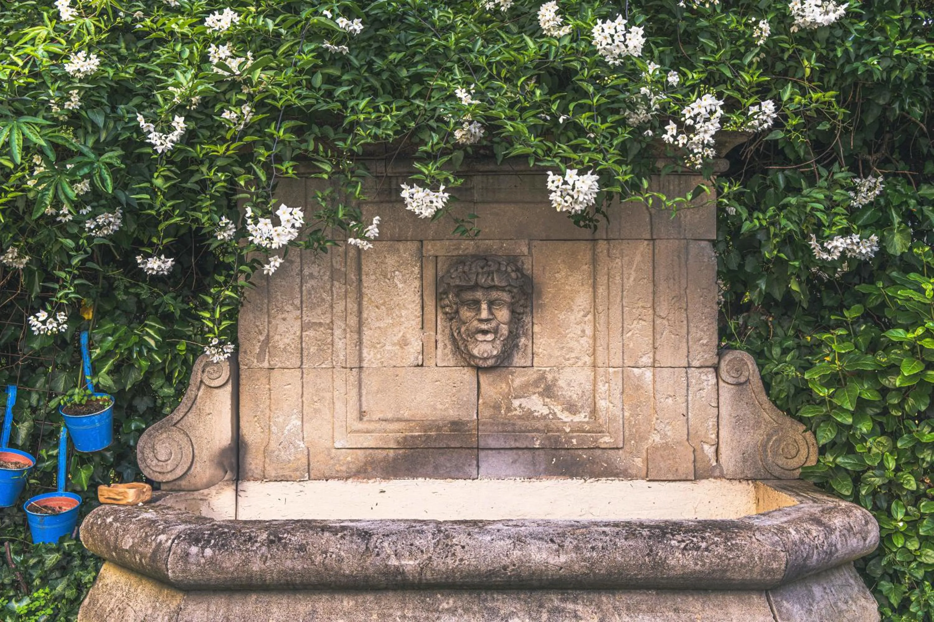 Garden in les jardins de la fontaine