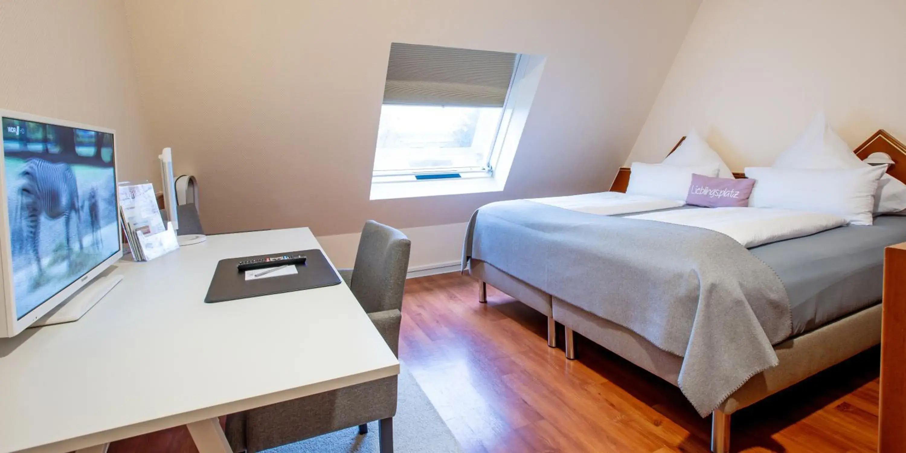 Double Room in Hotel Hangelar Double Room in Hotel Hangelar