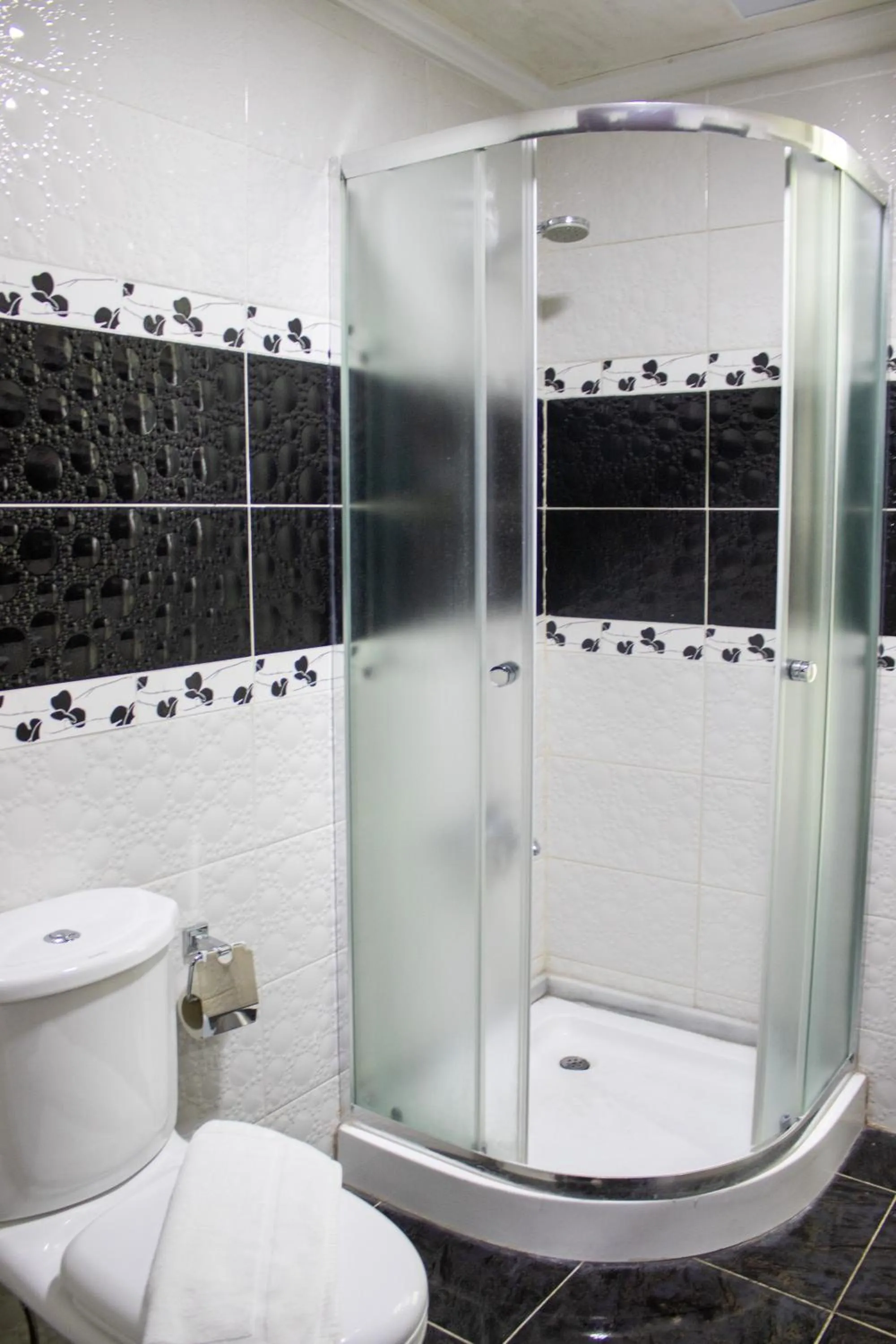 Shower in The Castle Hotel