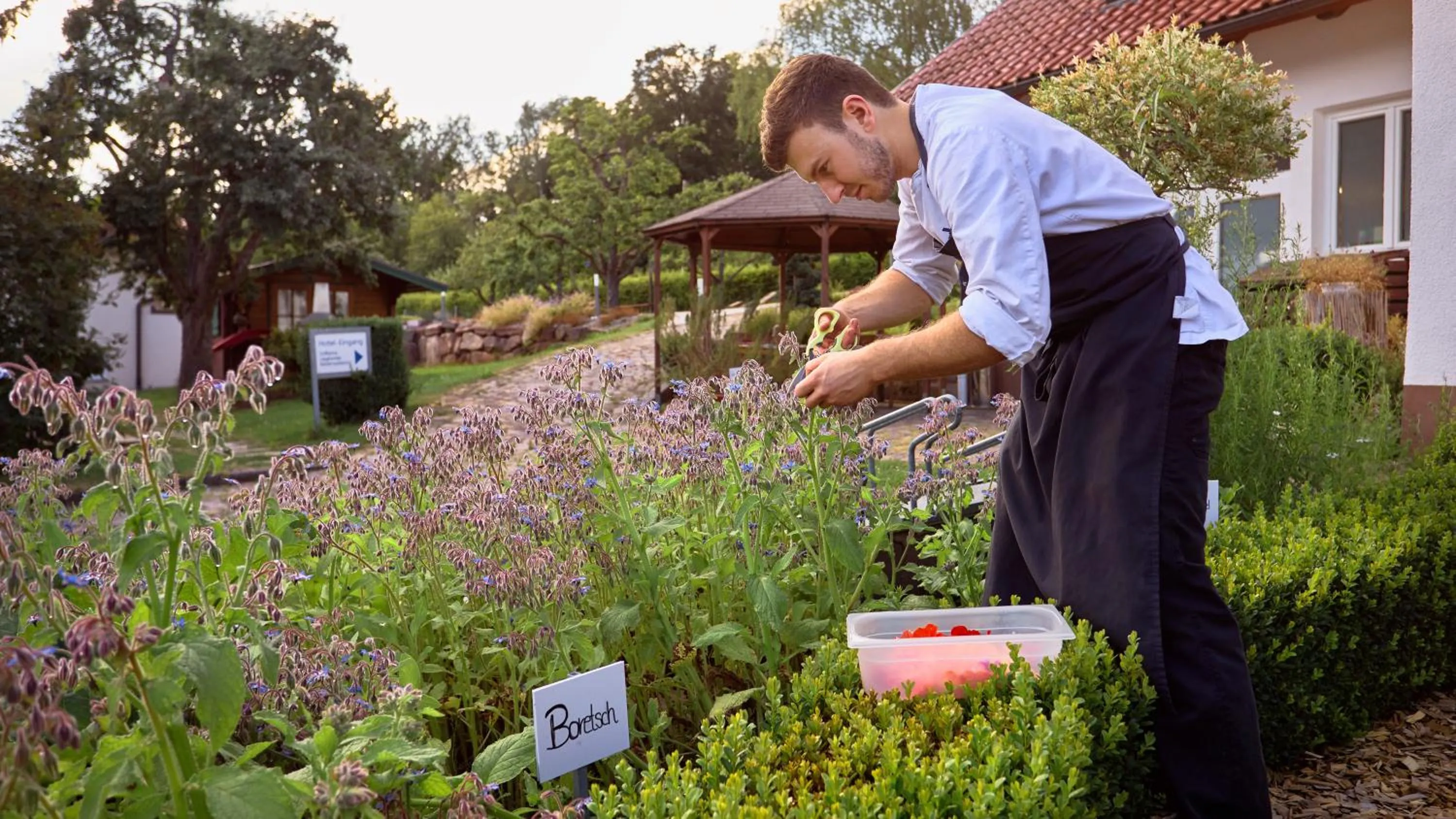 Garden in Romantik Hotel Rindenmühle
