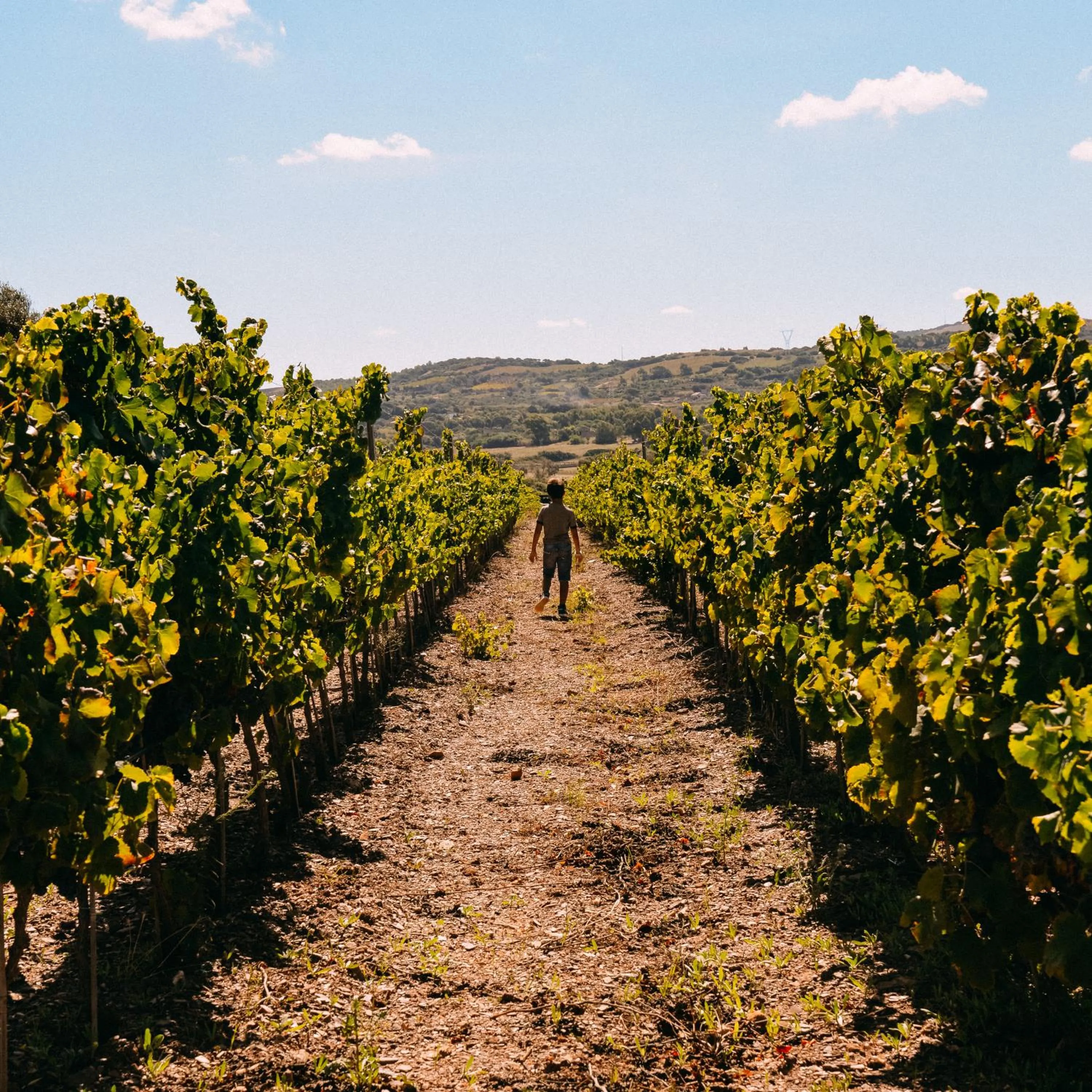 Garden in Funtana'e Mari