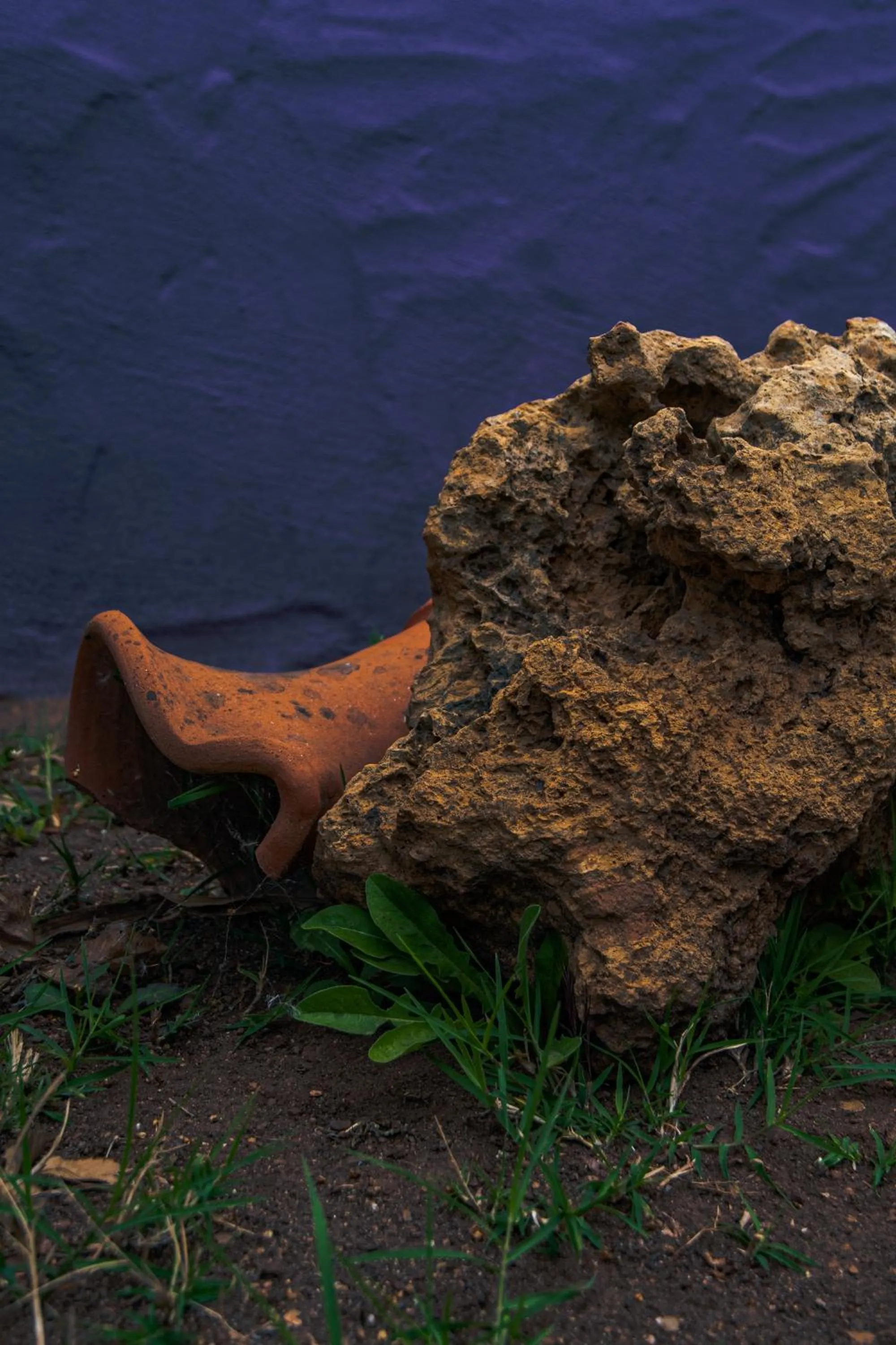 Garden in Funtana'e Mari