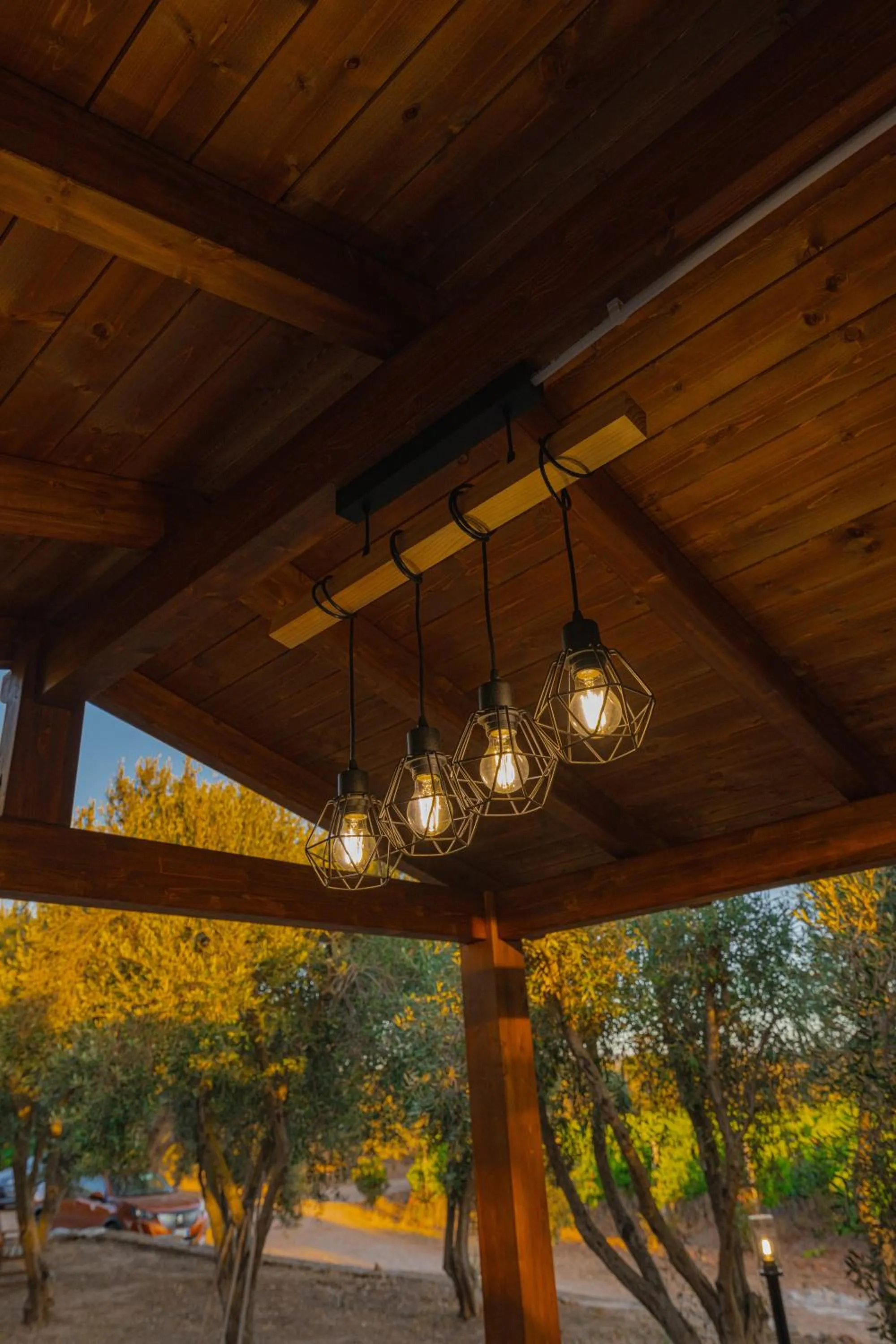 Garden in Funtana'e Mari