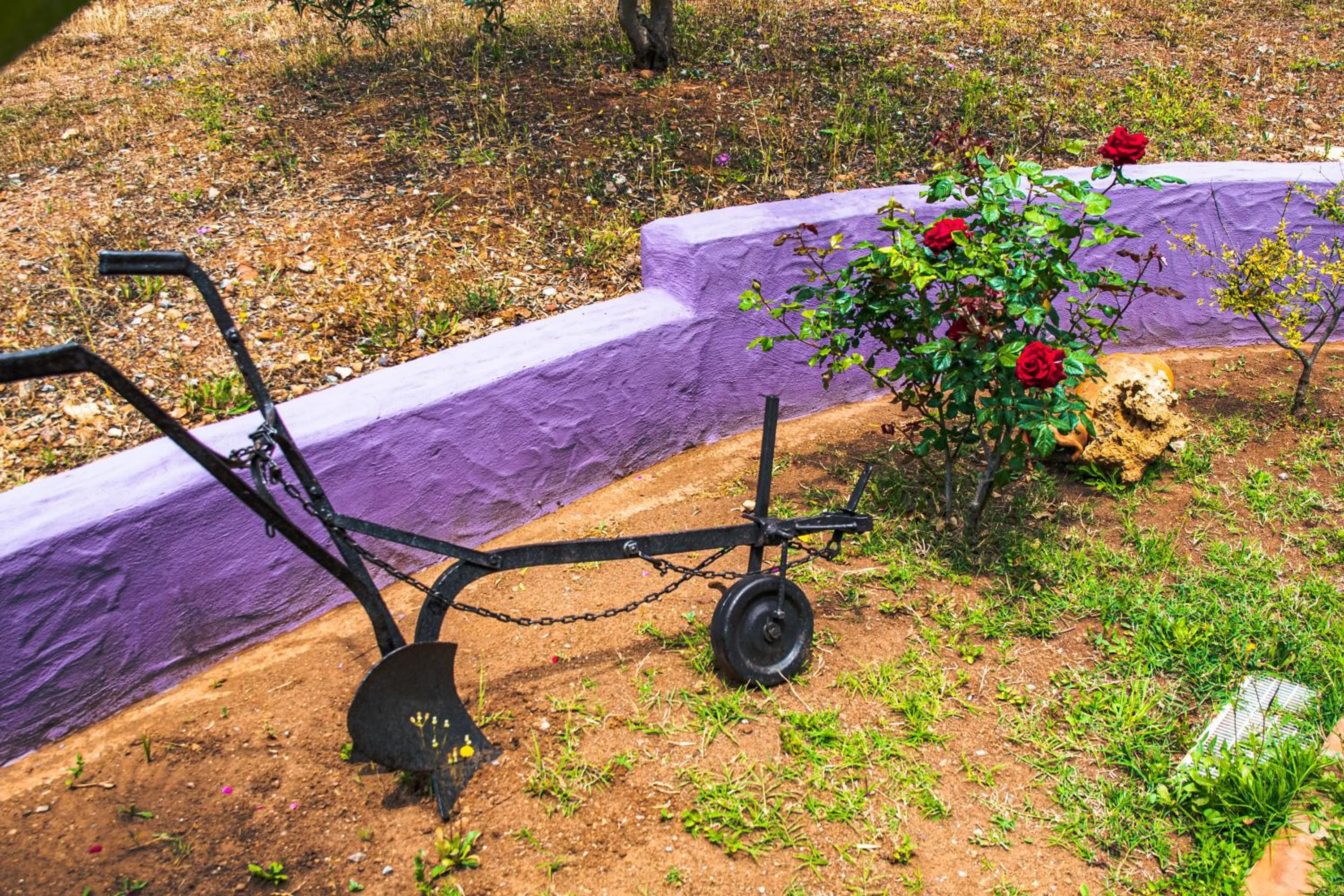 Garden in Funtana'e Mari