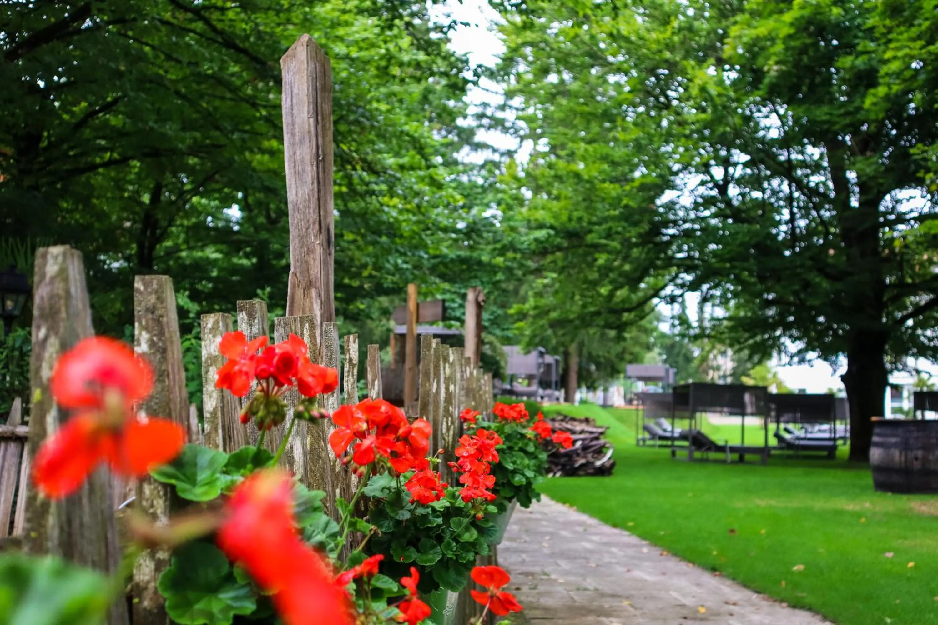 Natural landscape in Das Parkhotel