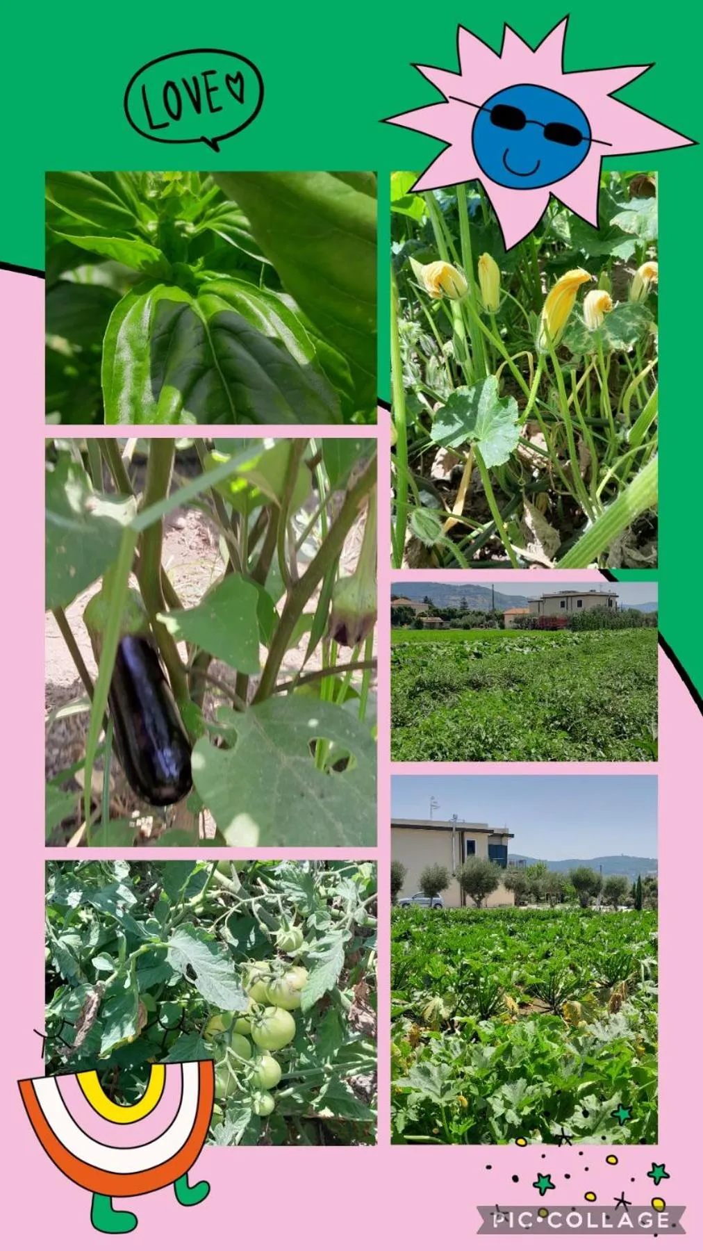 B&B Tenuta San Michele