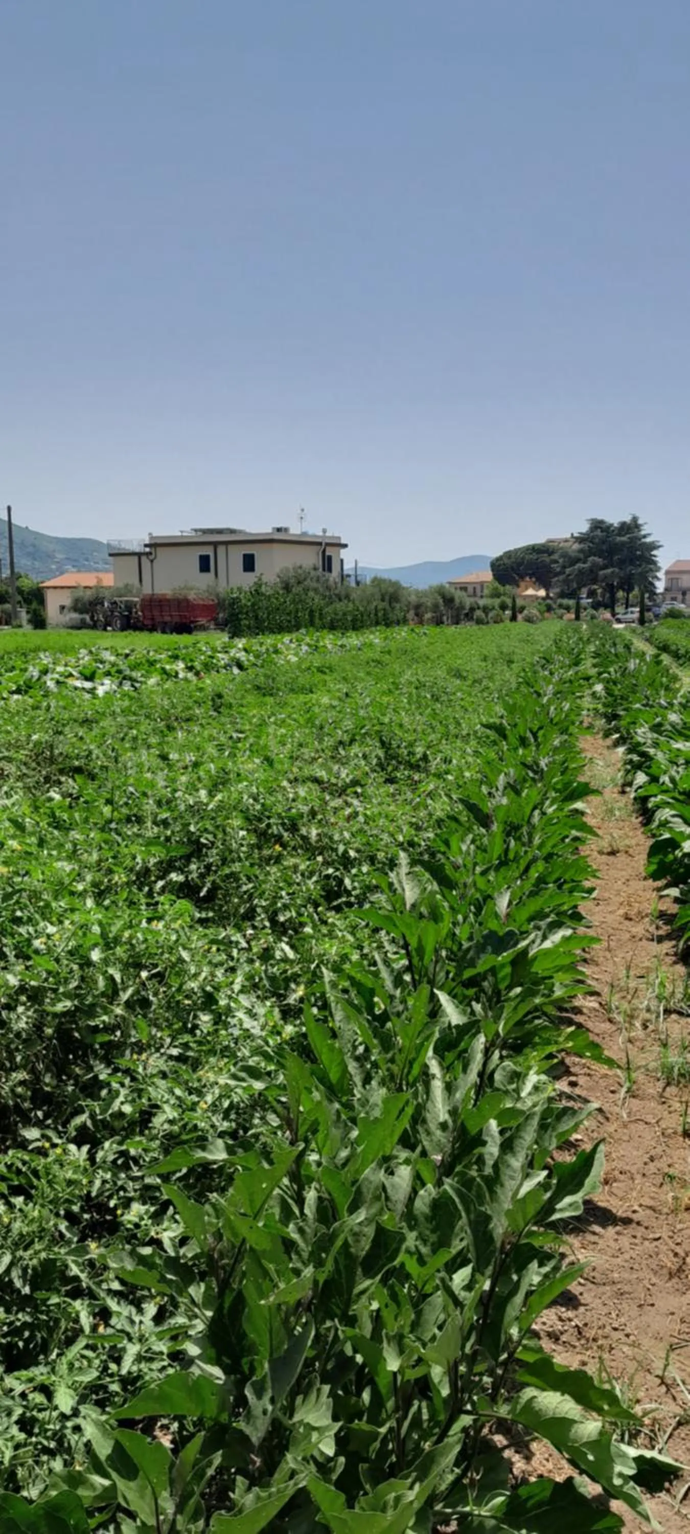 B&B Tenuta San Michele