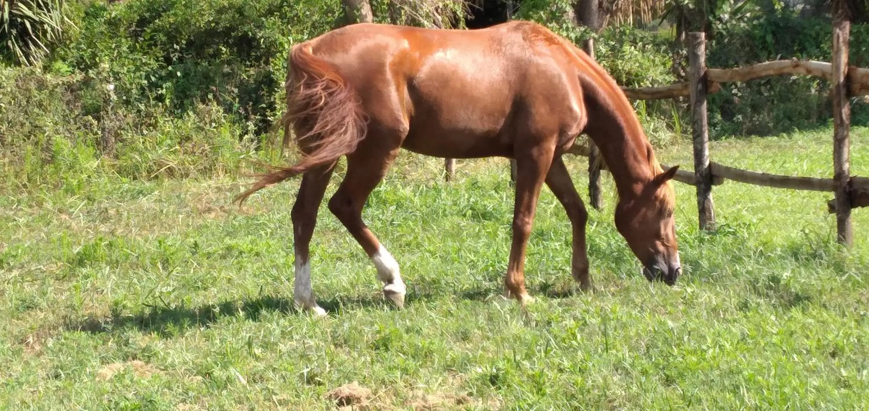 B&B Tenuta San Michele