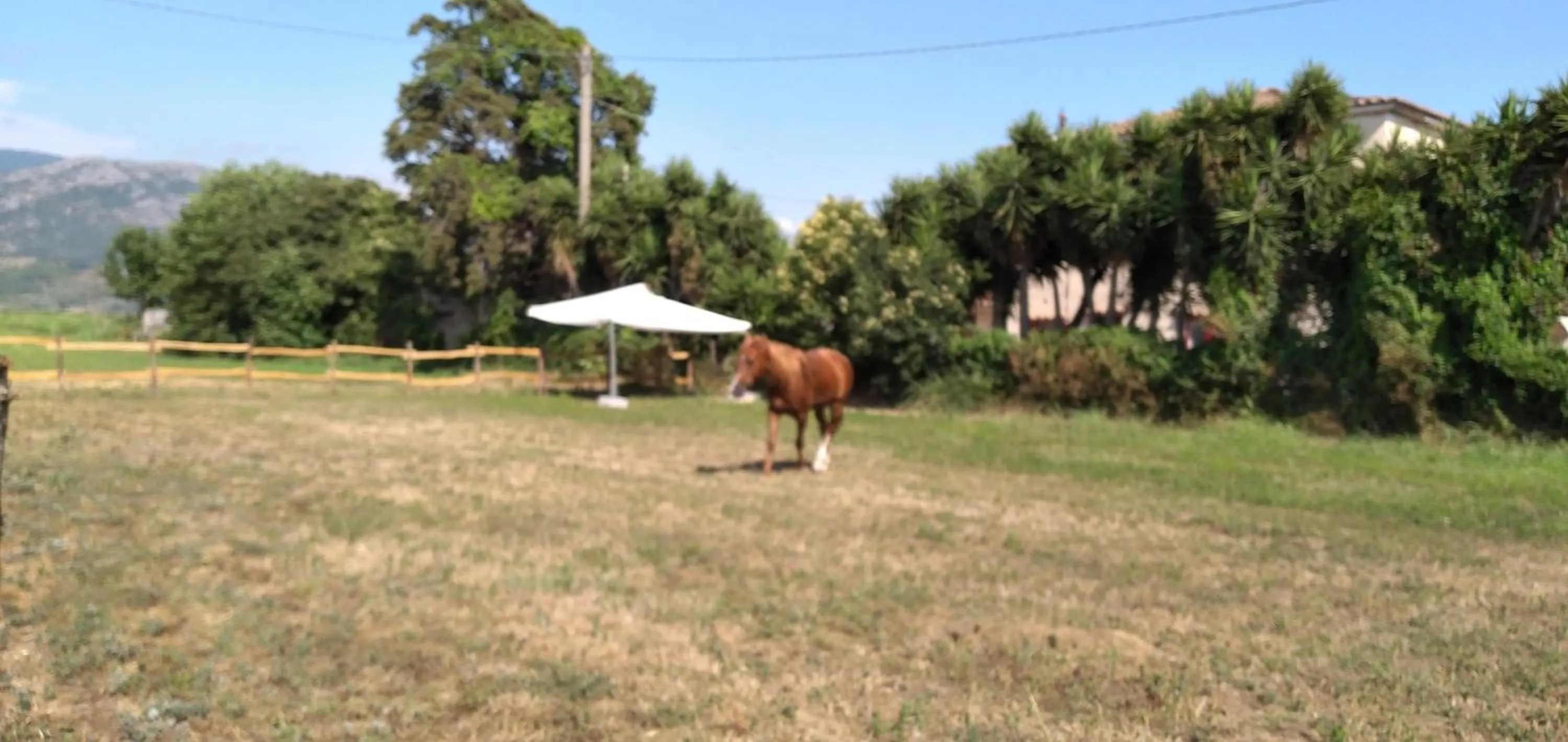 B&B Tenuta San Michele