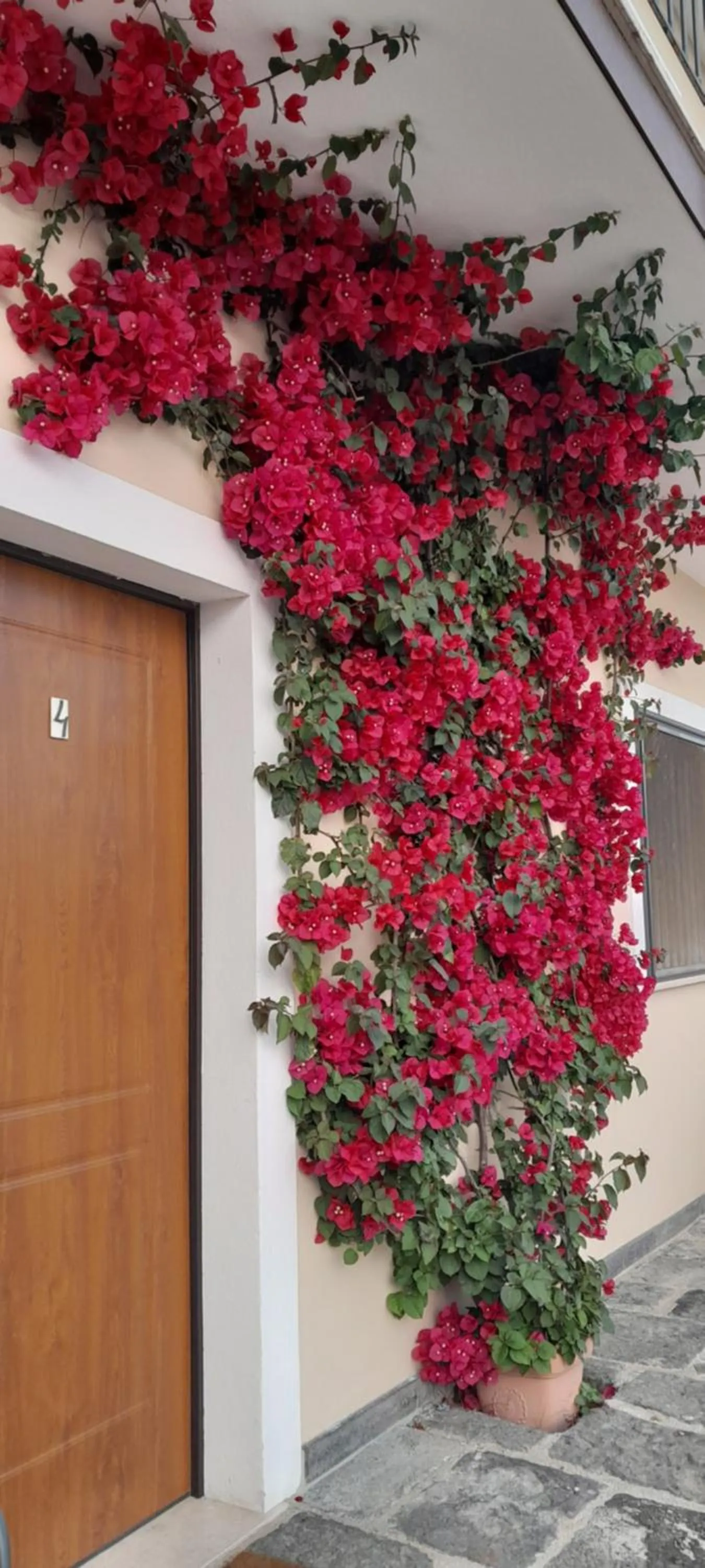 B&B Tenuta San Michele