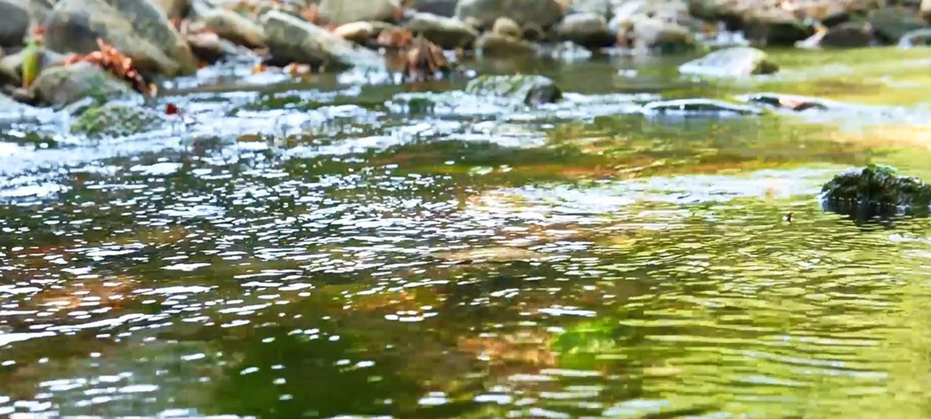 River view in Manastırhan Otel Kazdağları