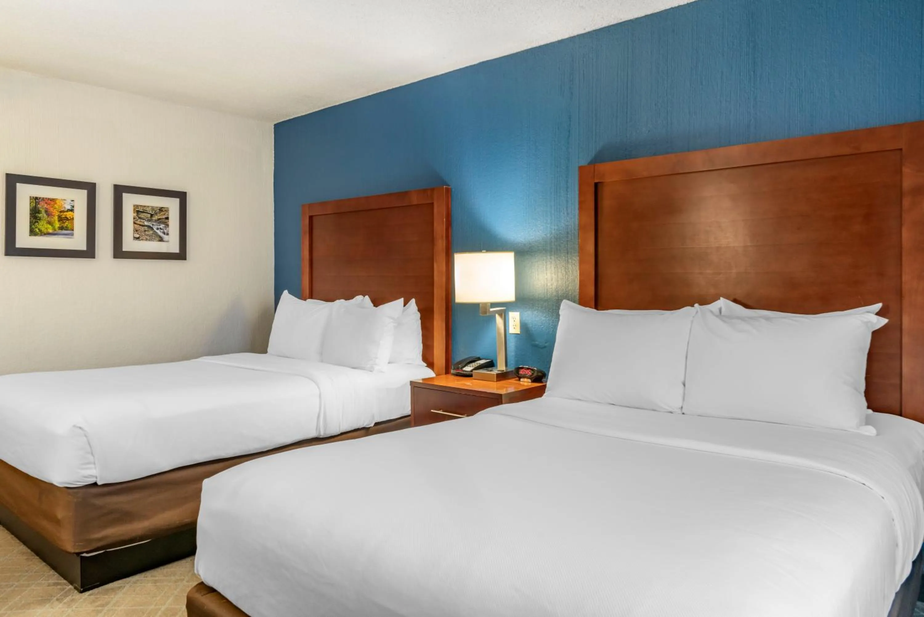 Photo of the whole room, Bed in Comfort Inn University