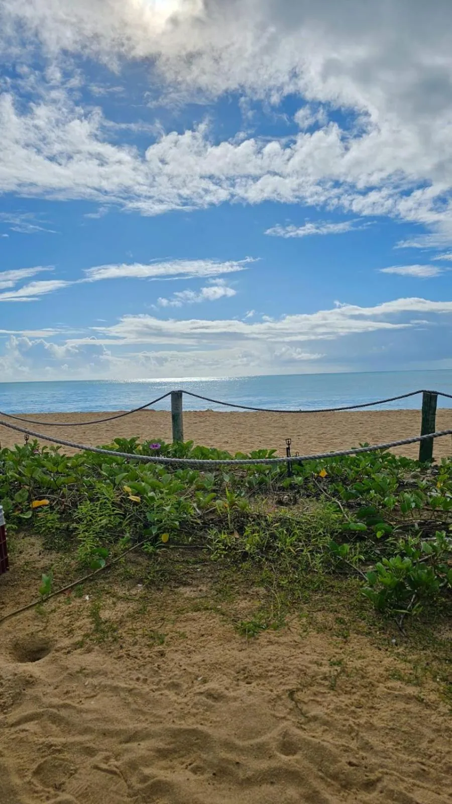 Beach in JL Temporadas - Quarto Portobello Park Hotel