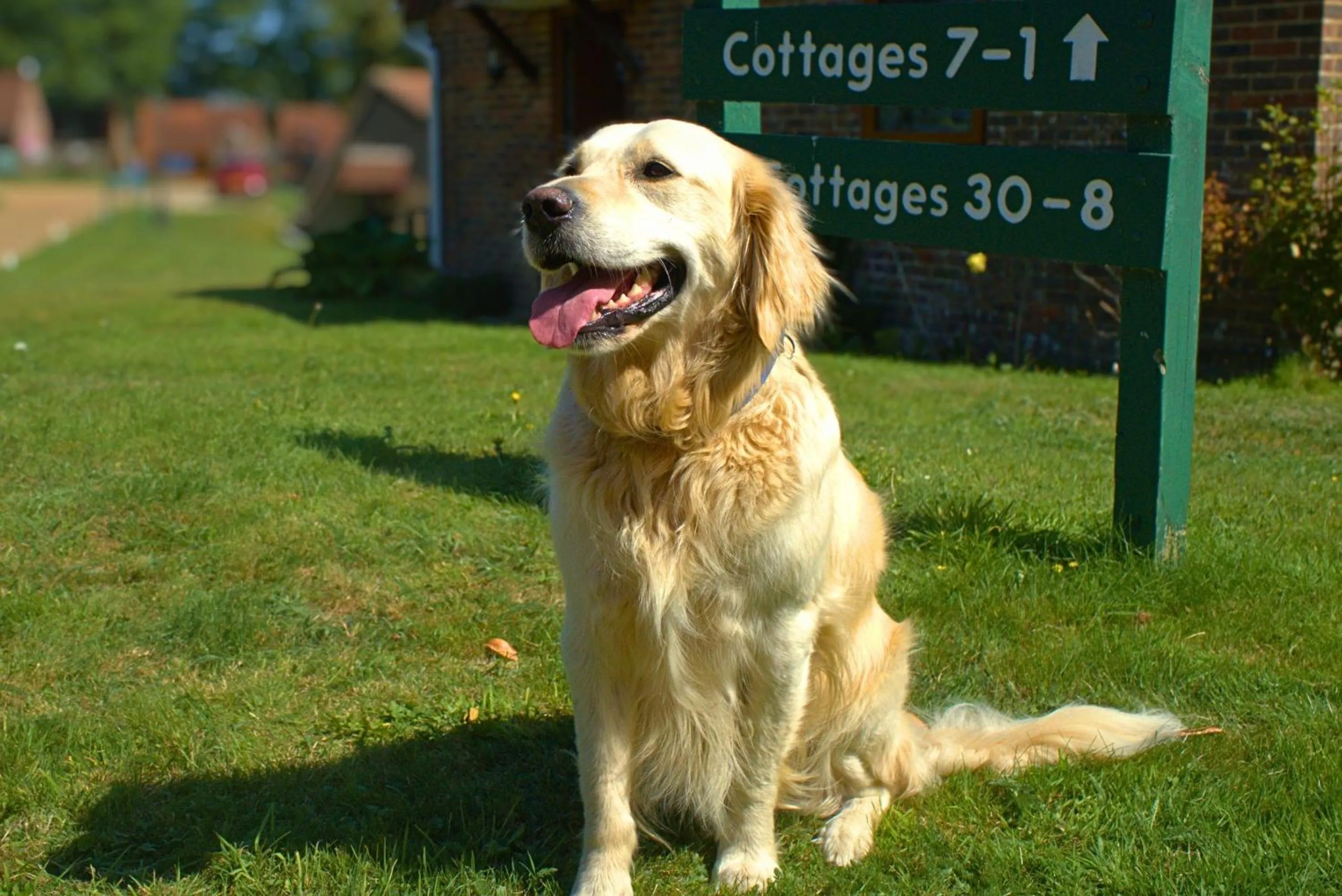 Property building in Glyndley Manor Cottages