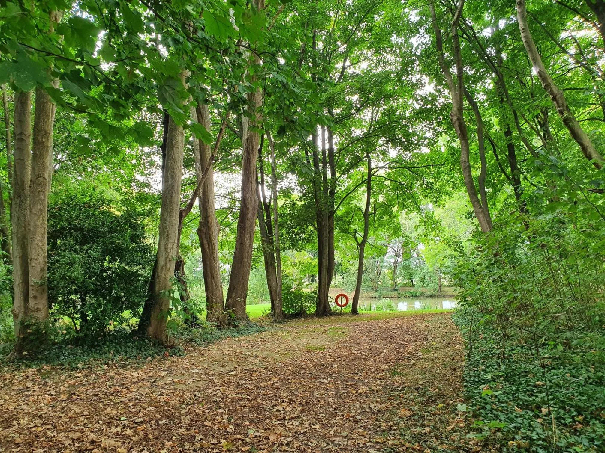 Garden in Glyndley Manor Cottages