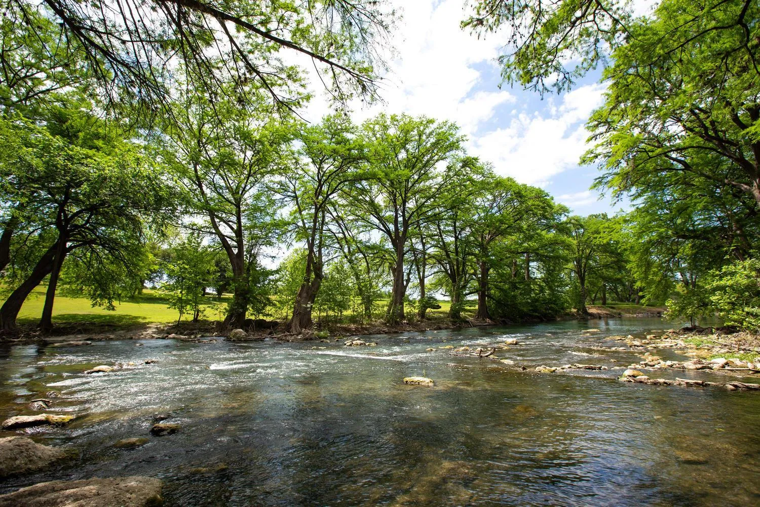 Other in River Relaxation WW A302