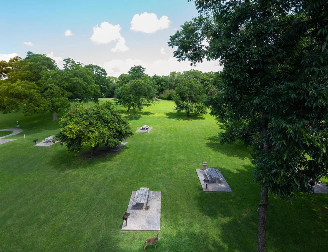 Other in 5 O Clock Somewhere WW H302